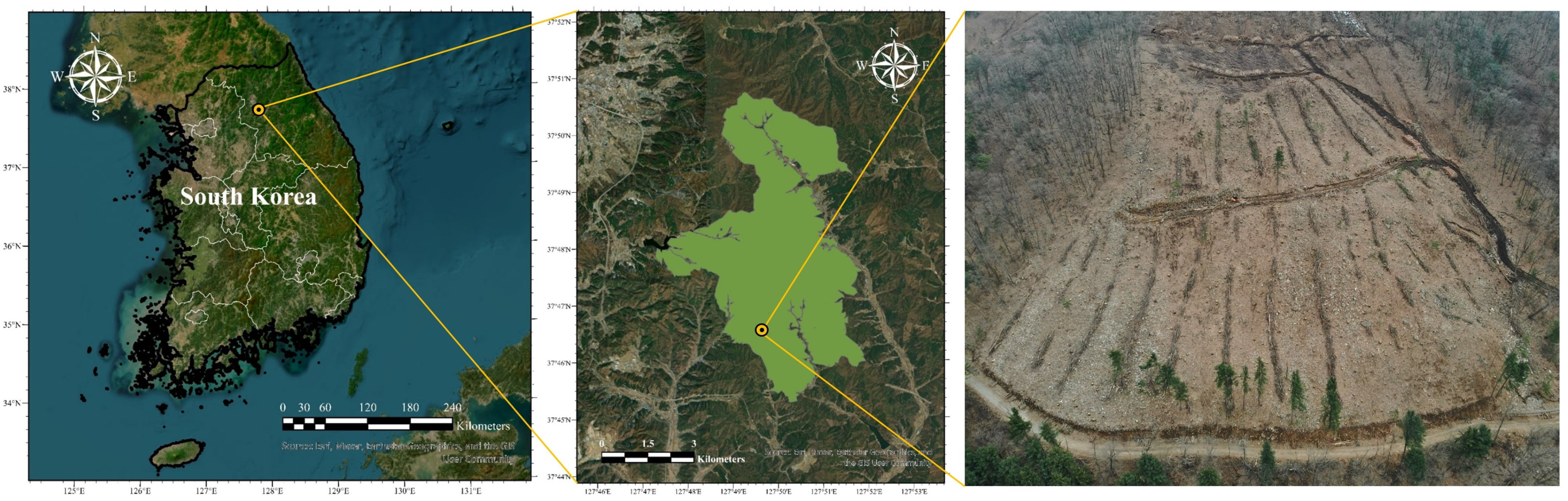 Forests 14 00980 g001 Forests 14 00980 g001
