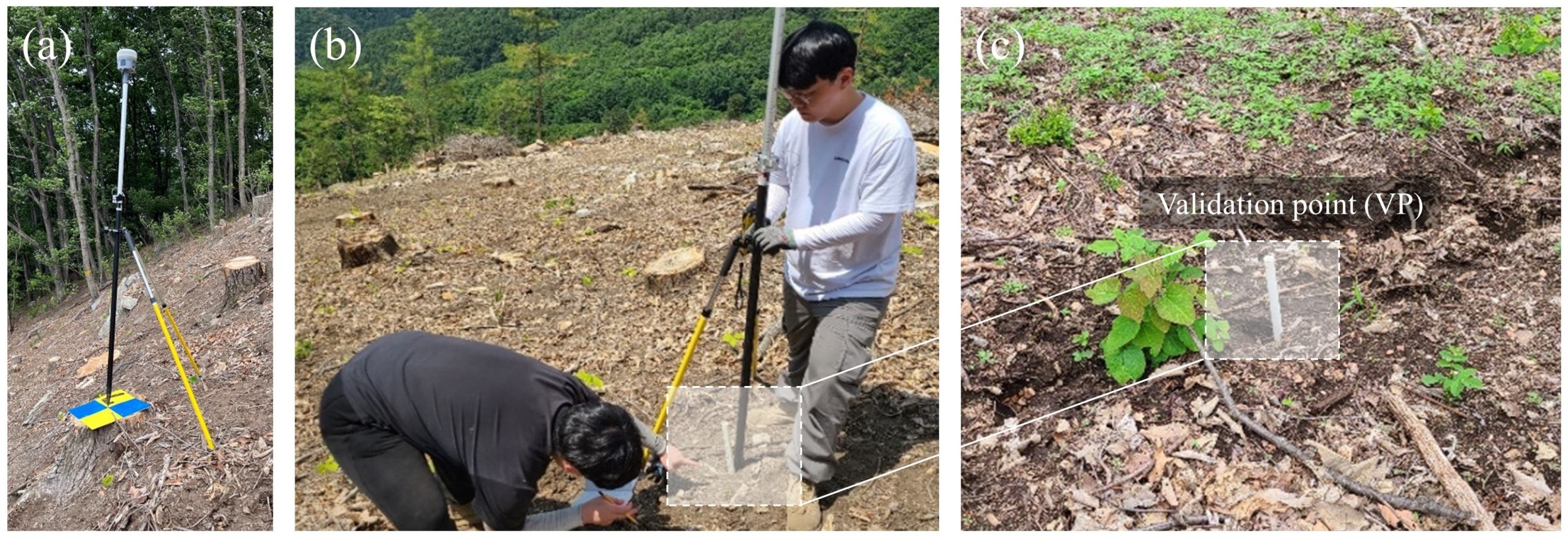 Forests 14 00980 g002 Forests 14 00980 g002