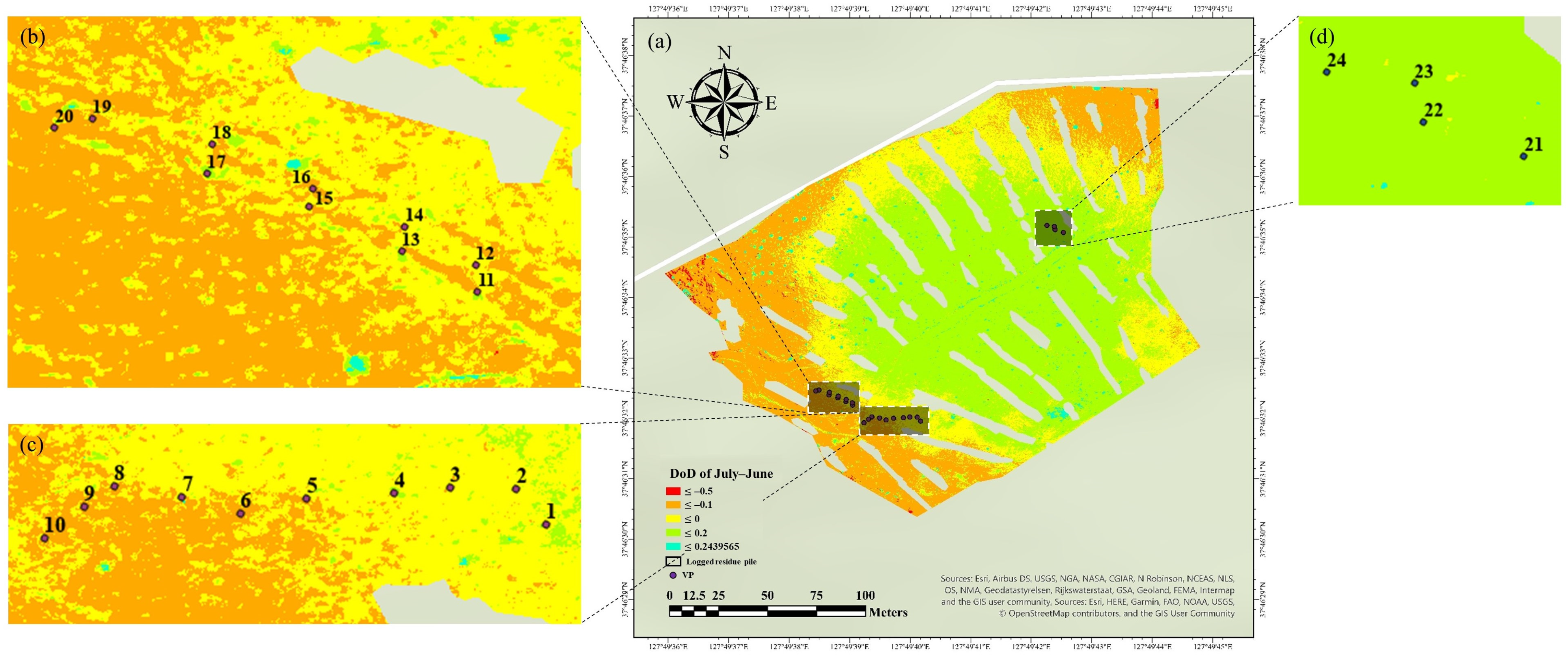 Forests 14 00980 g004 Forests 14 00980 g004