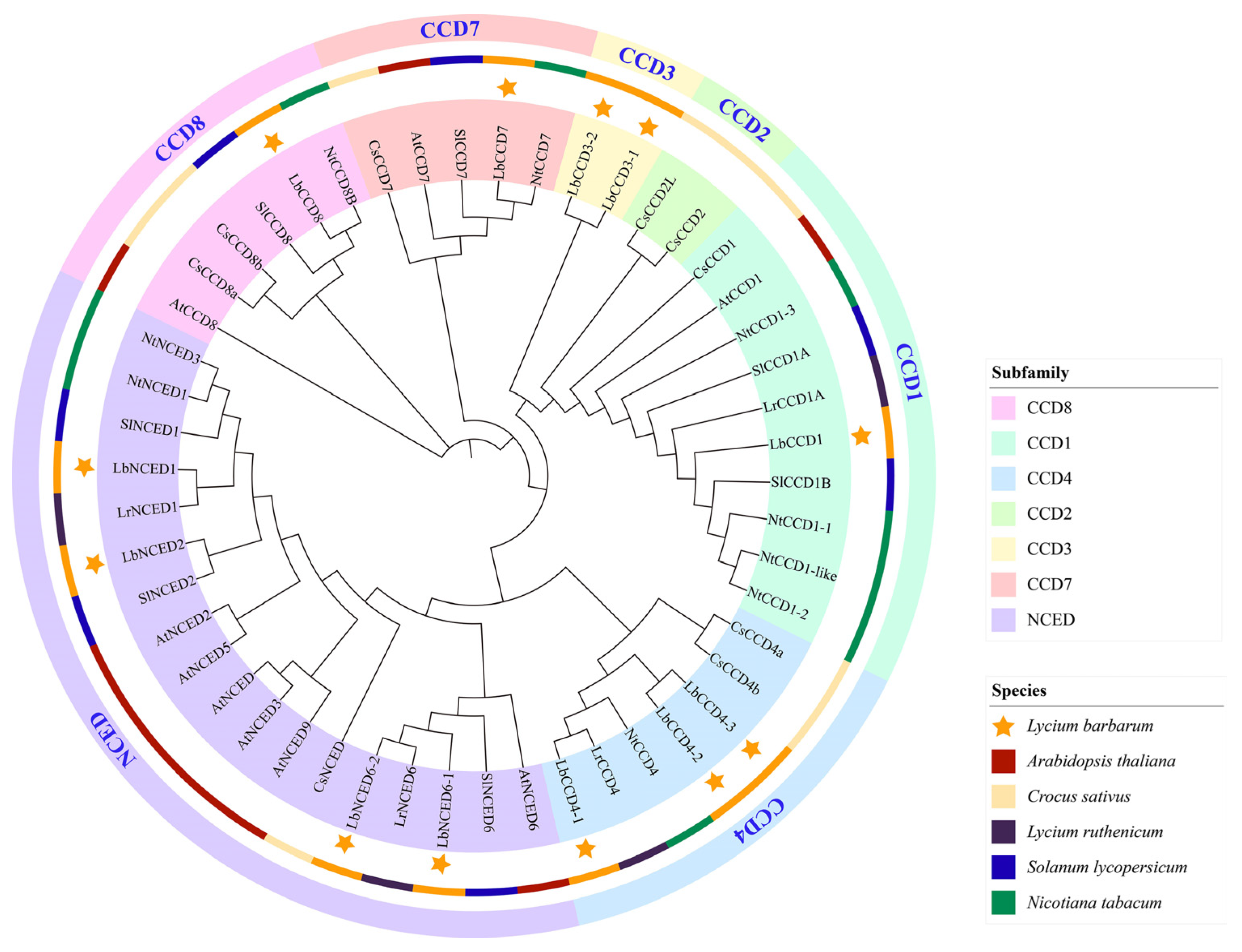 Forests 14 00983 g001