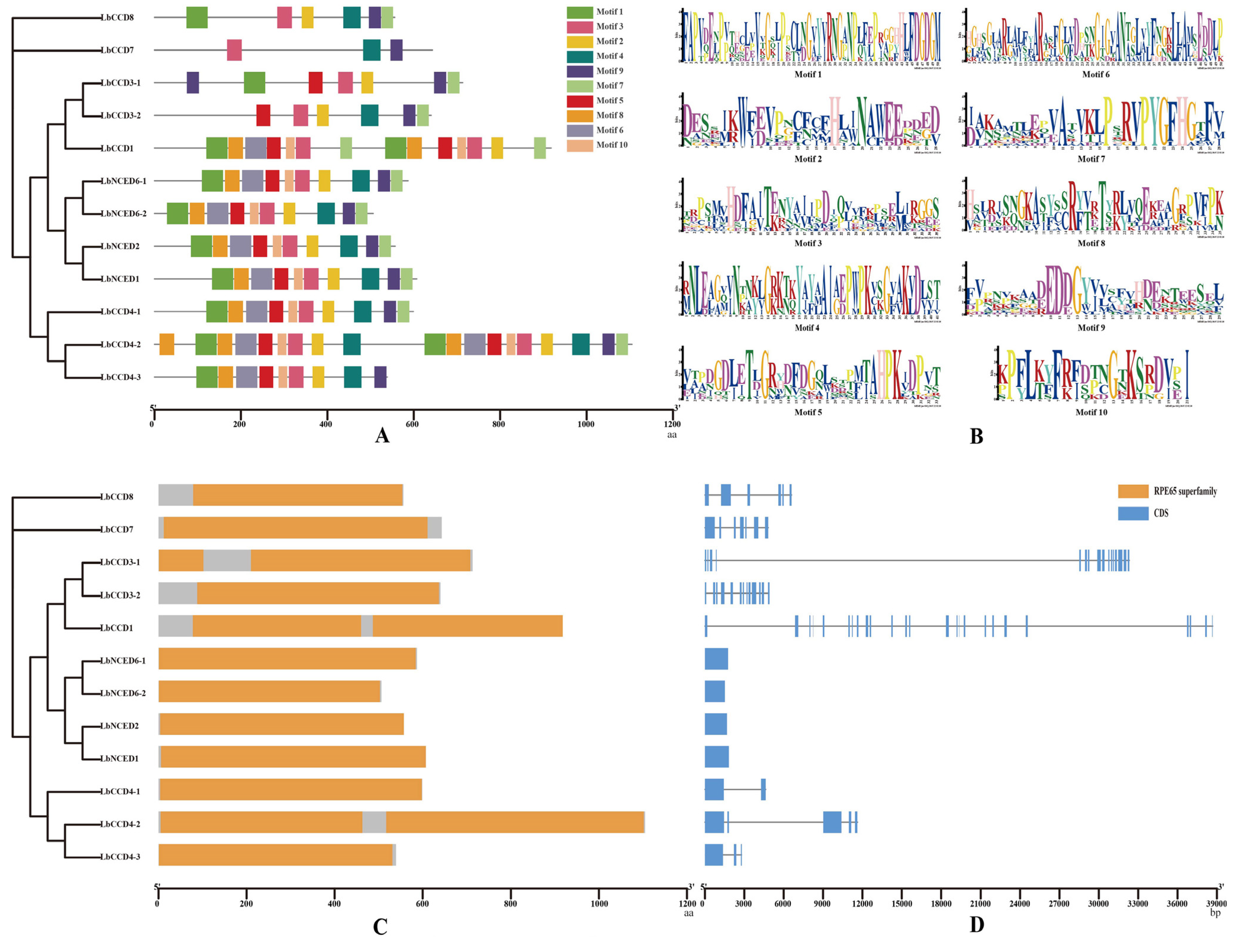 Forests 14 00983 g002