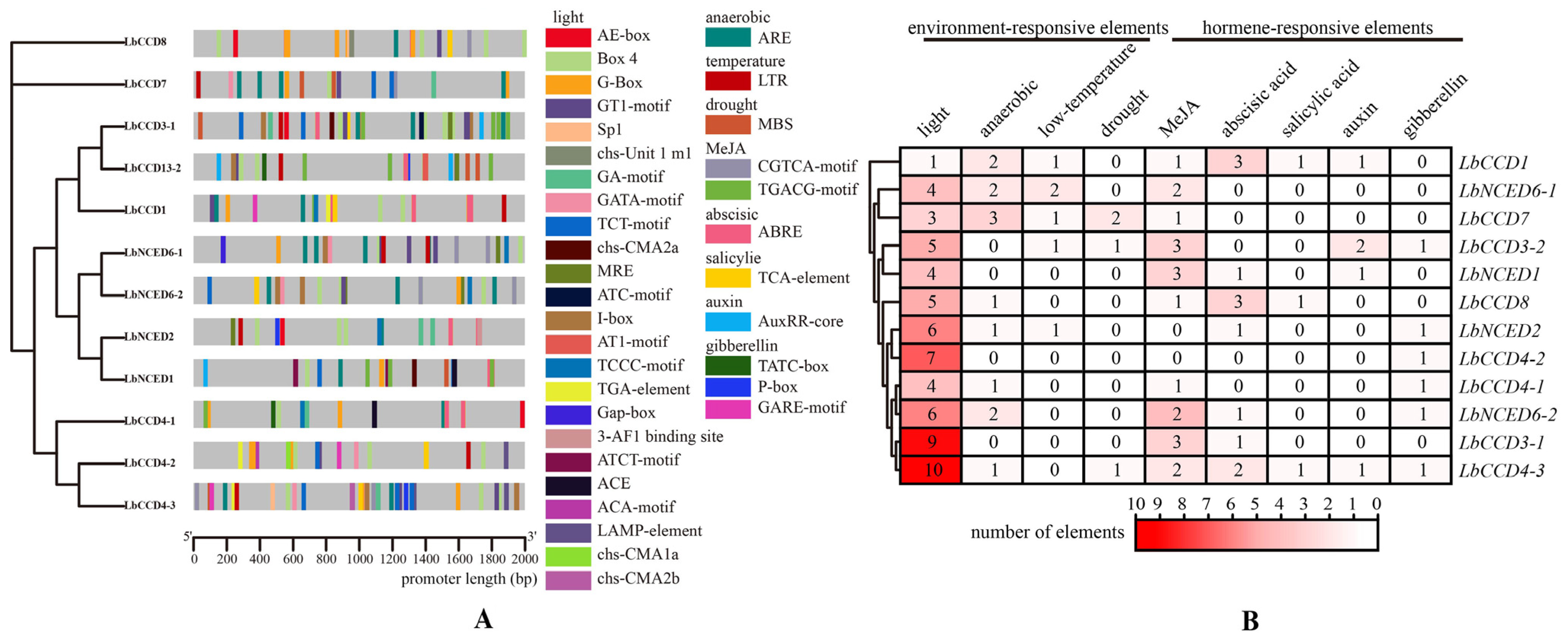 Forests 14 00983 g003