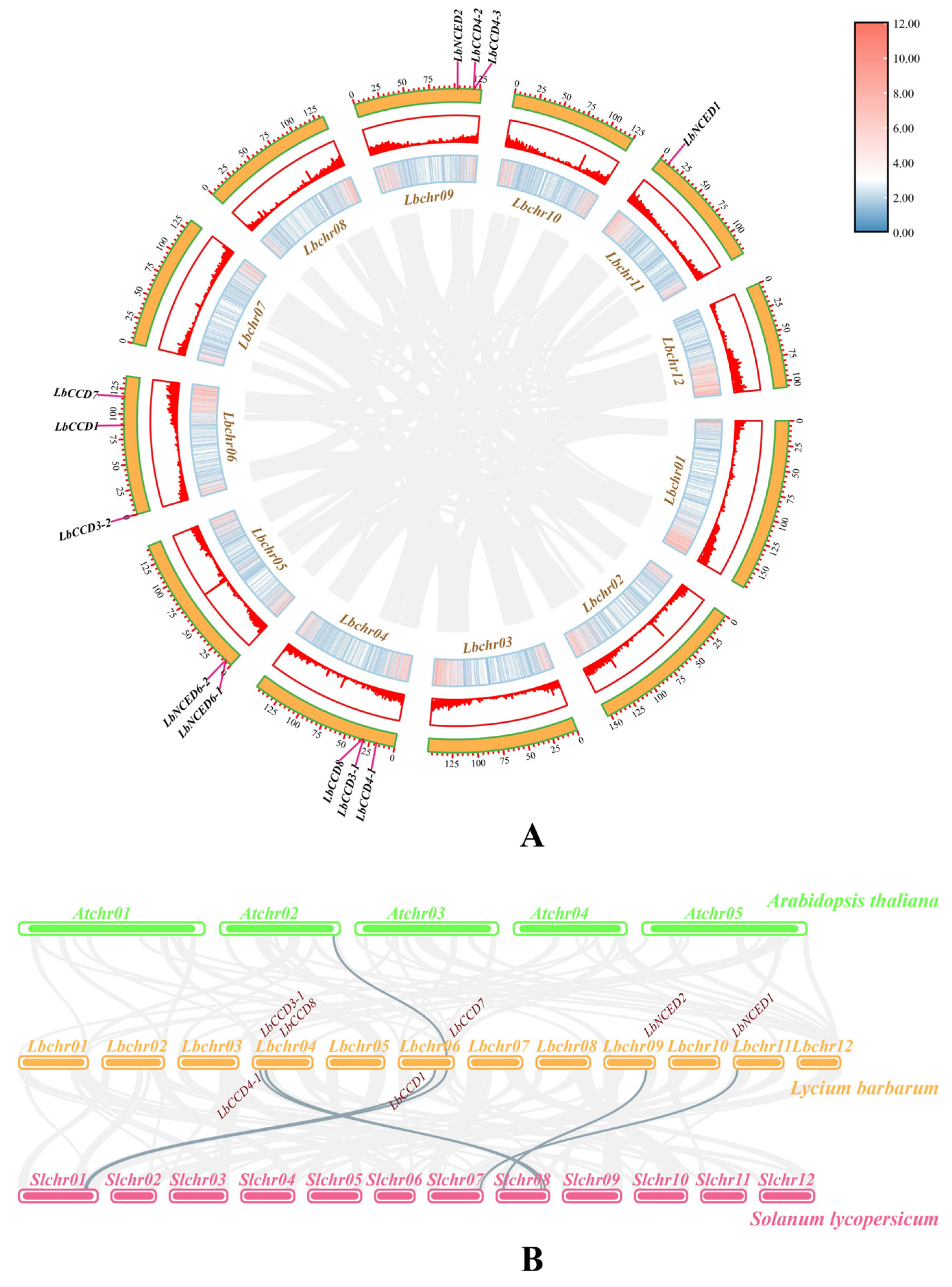 Forests 14 00983 g004
