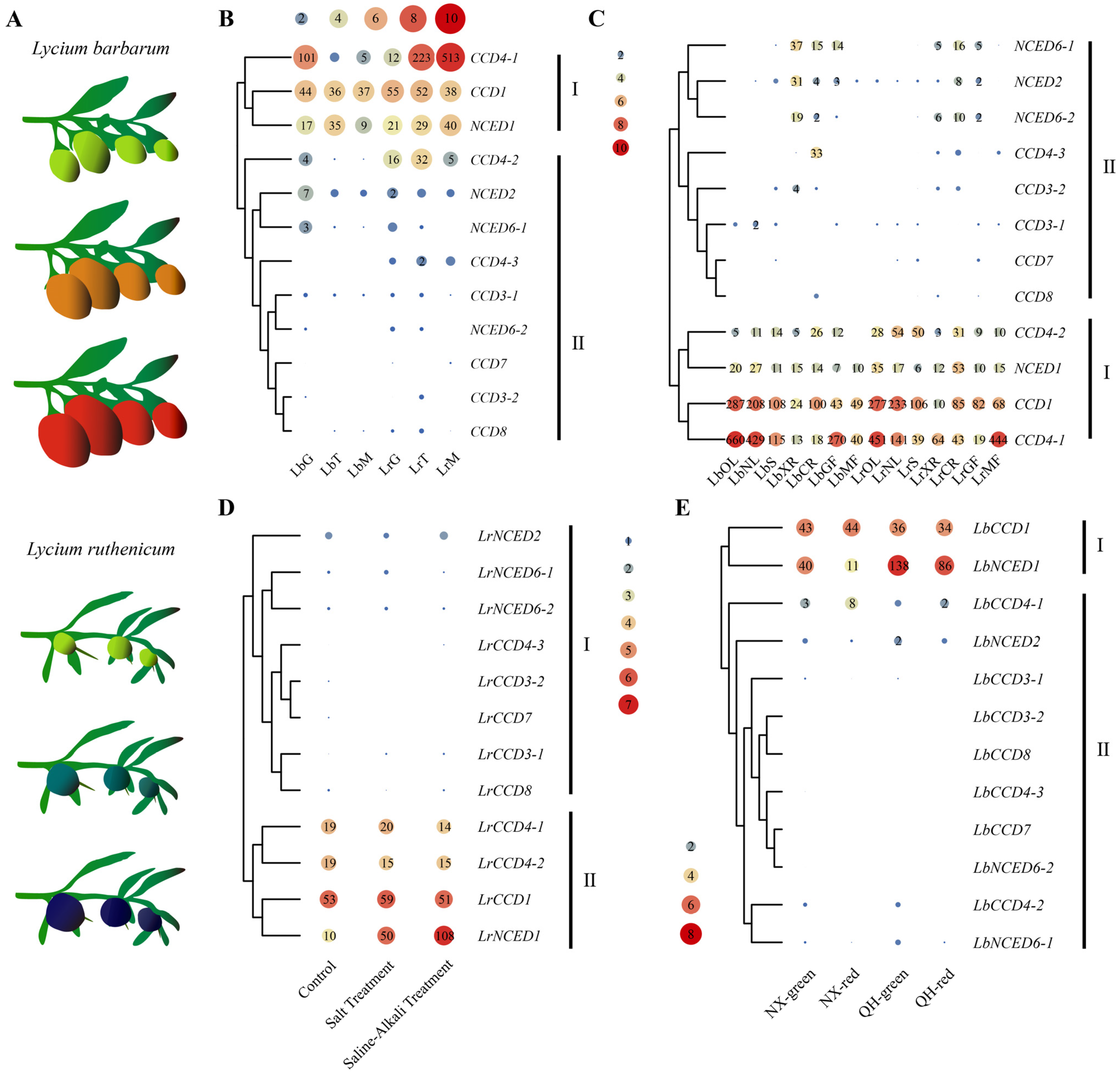 Forests 14 00983 g005