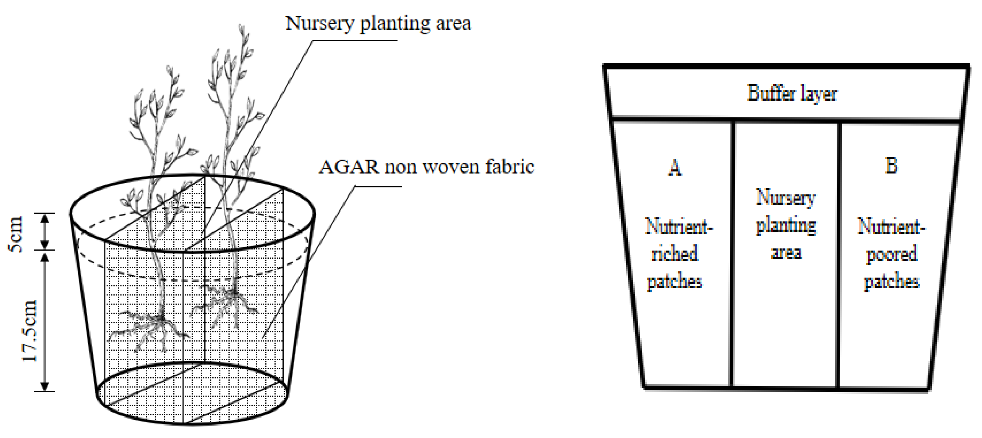 Forests 14 00984 g001 Forests 14 00984 g001