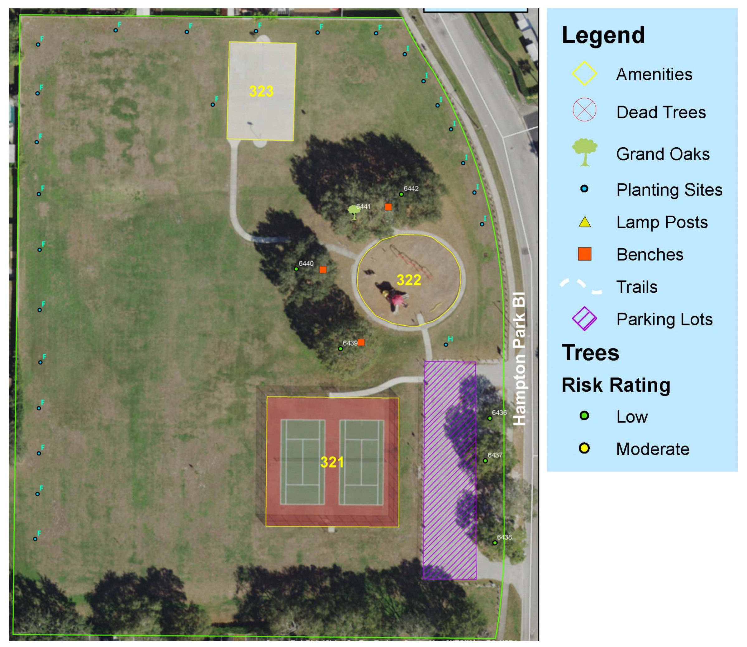 Forests 14 00988 g001