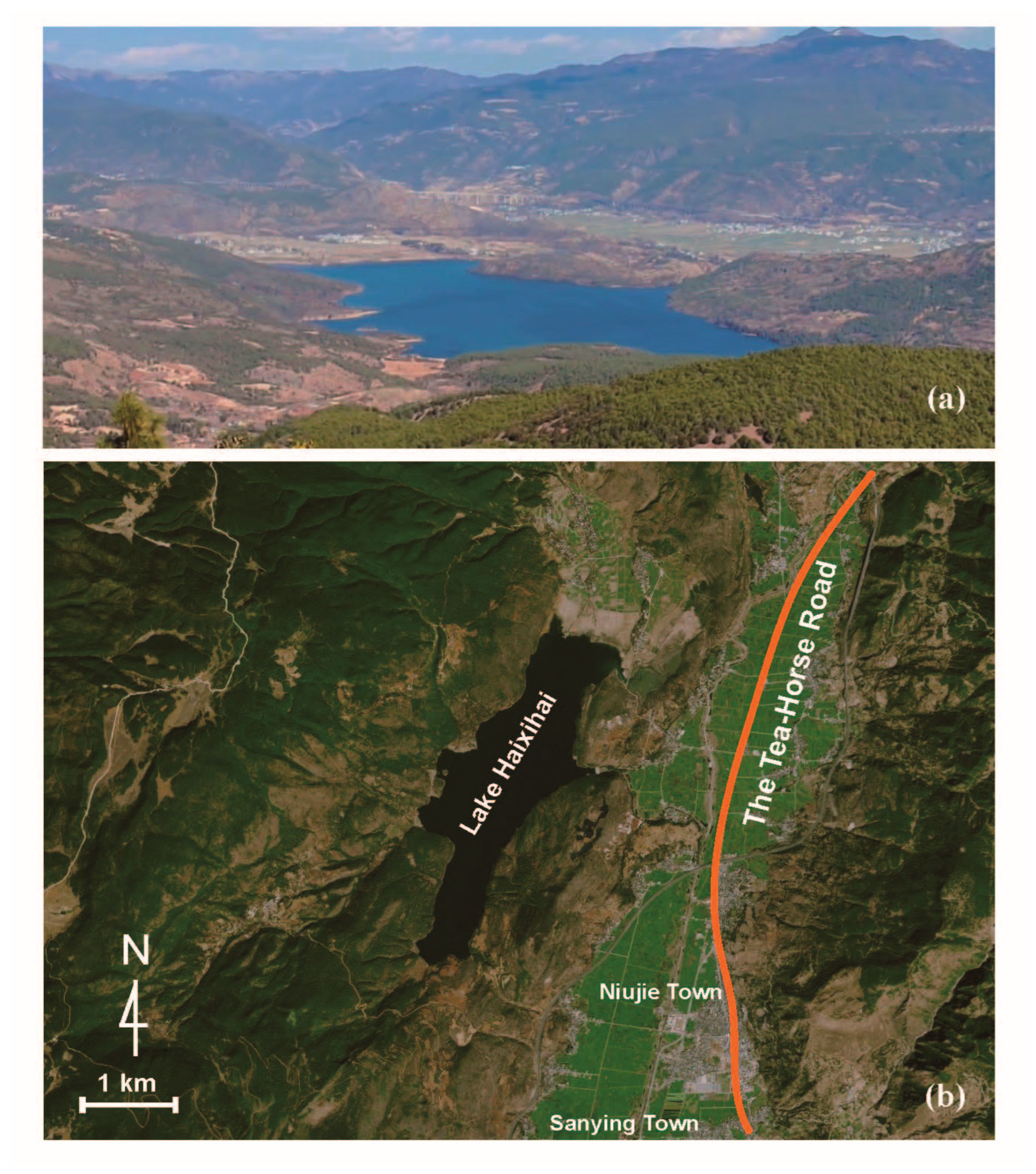 Forests 14 00990 g010