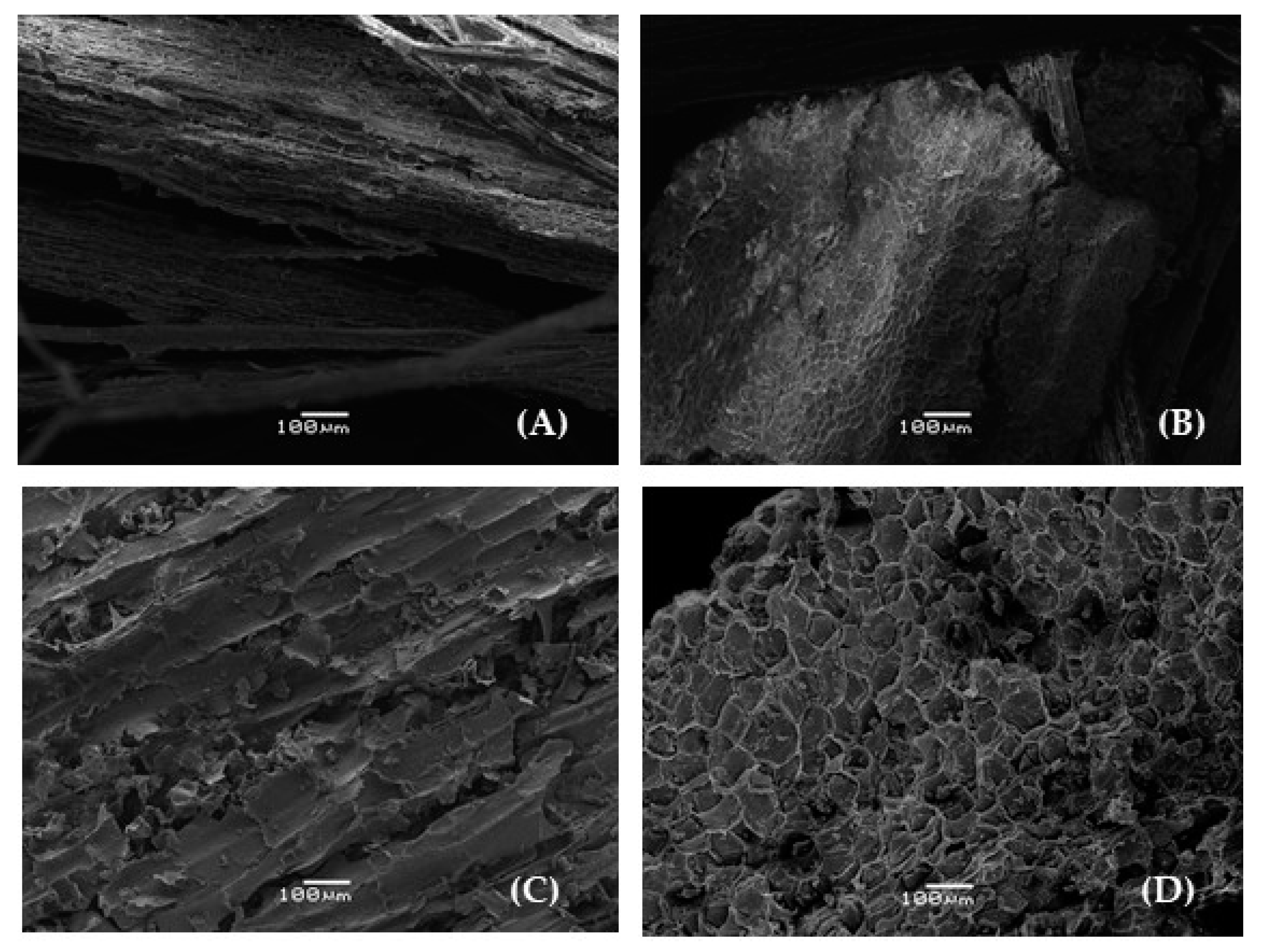 Forests 14 00991 g002