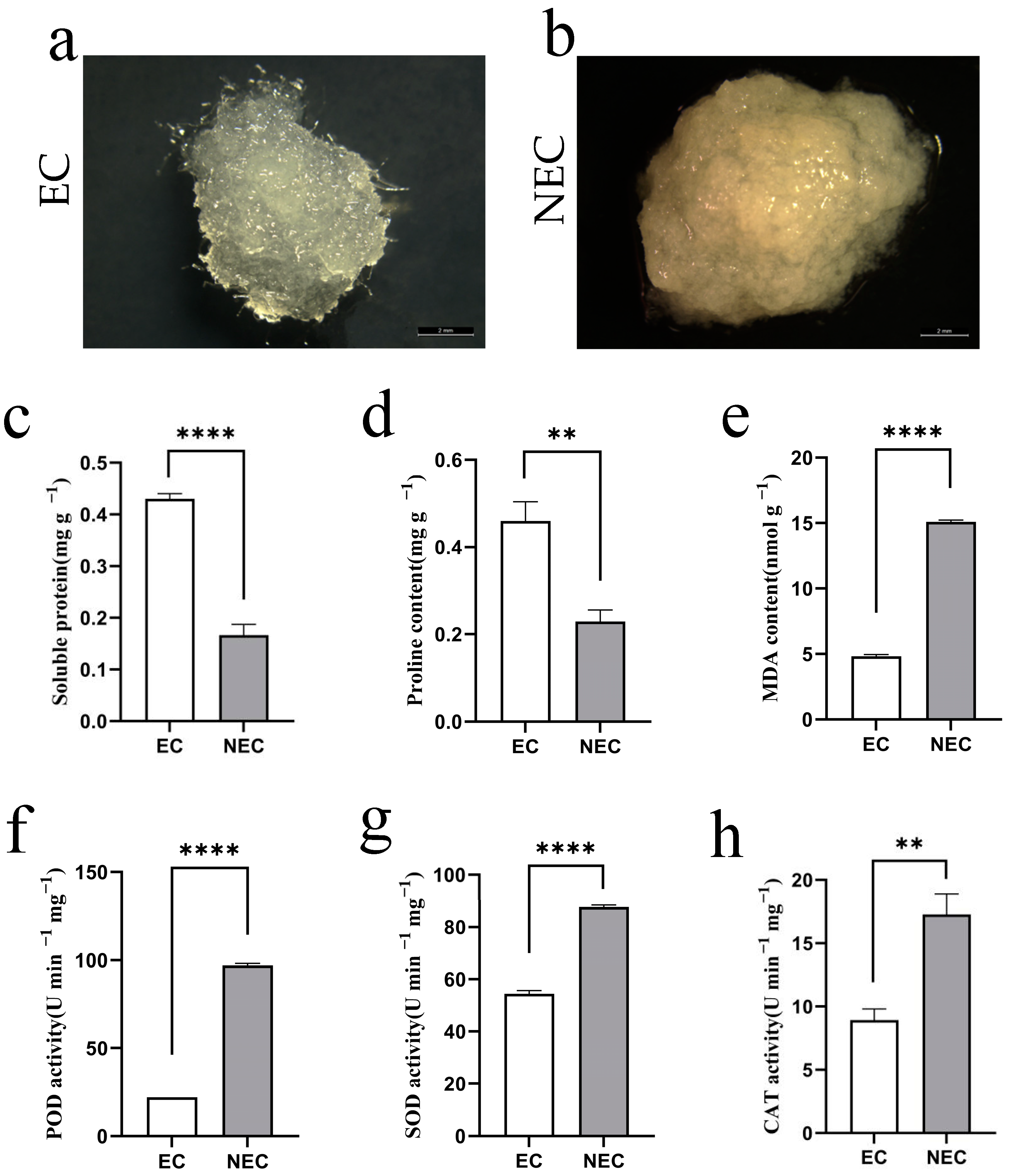 Forests 14 00993 g001 Forests 14 00993 g001
