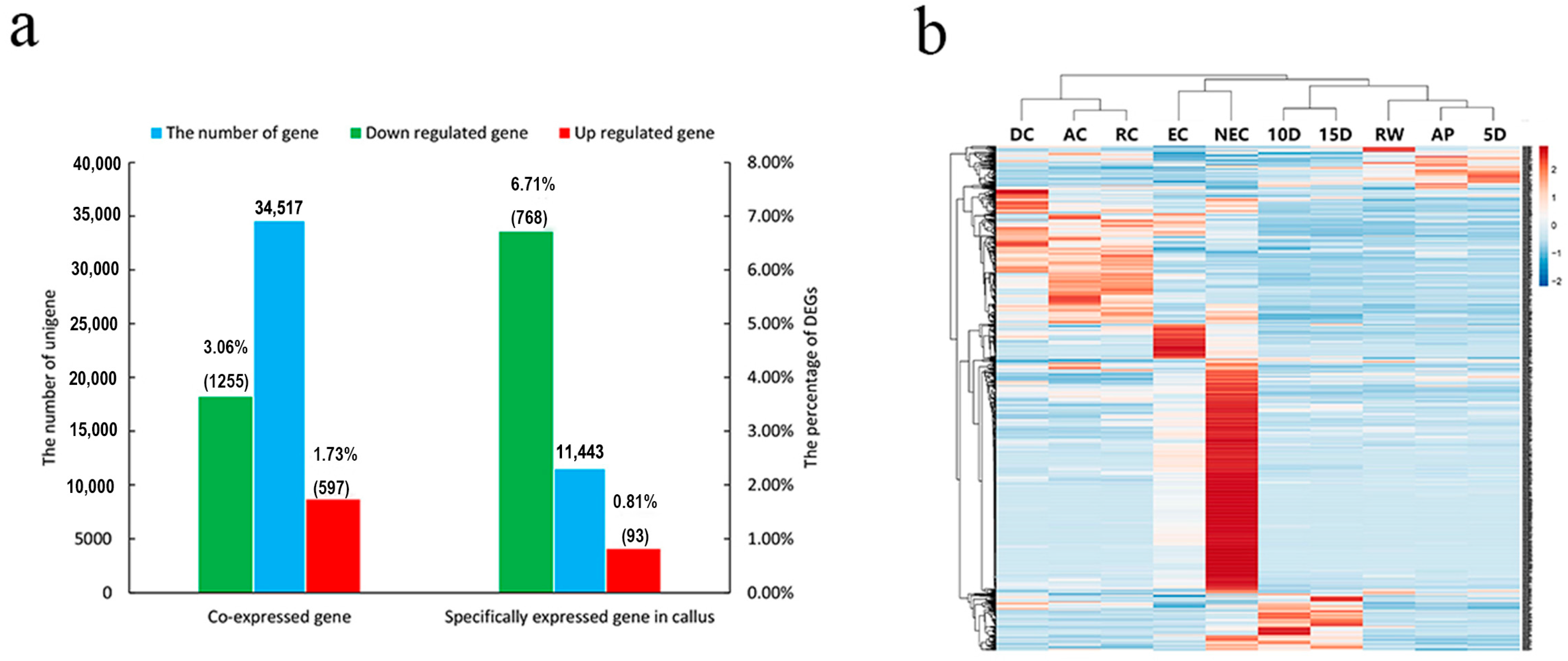 Forests 14 00993 g004 Forests 14 00993 g004