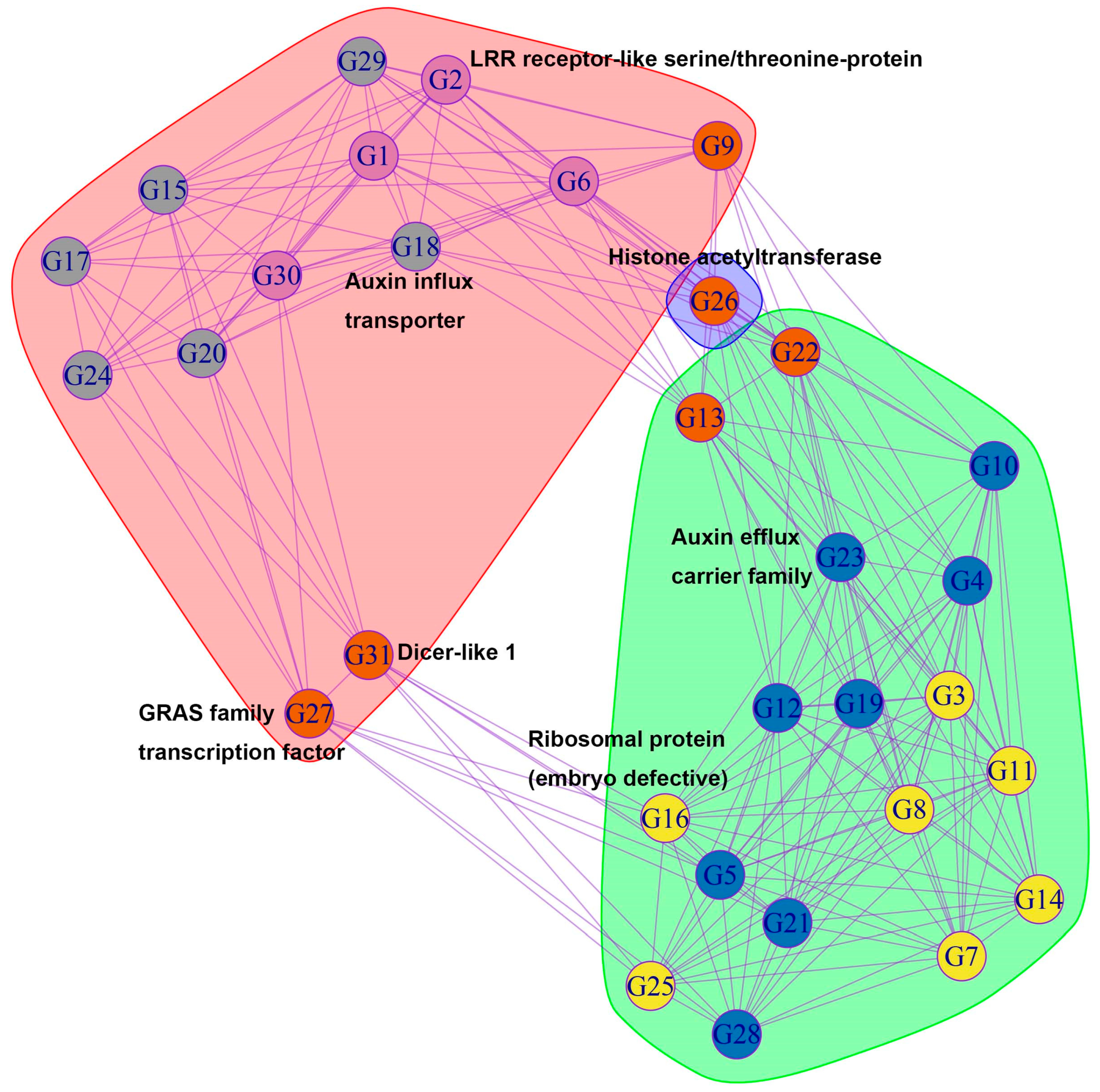Forests 14 00993 g005 Forests 14 00993 g005