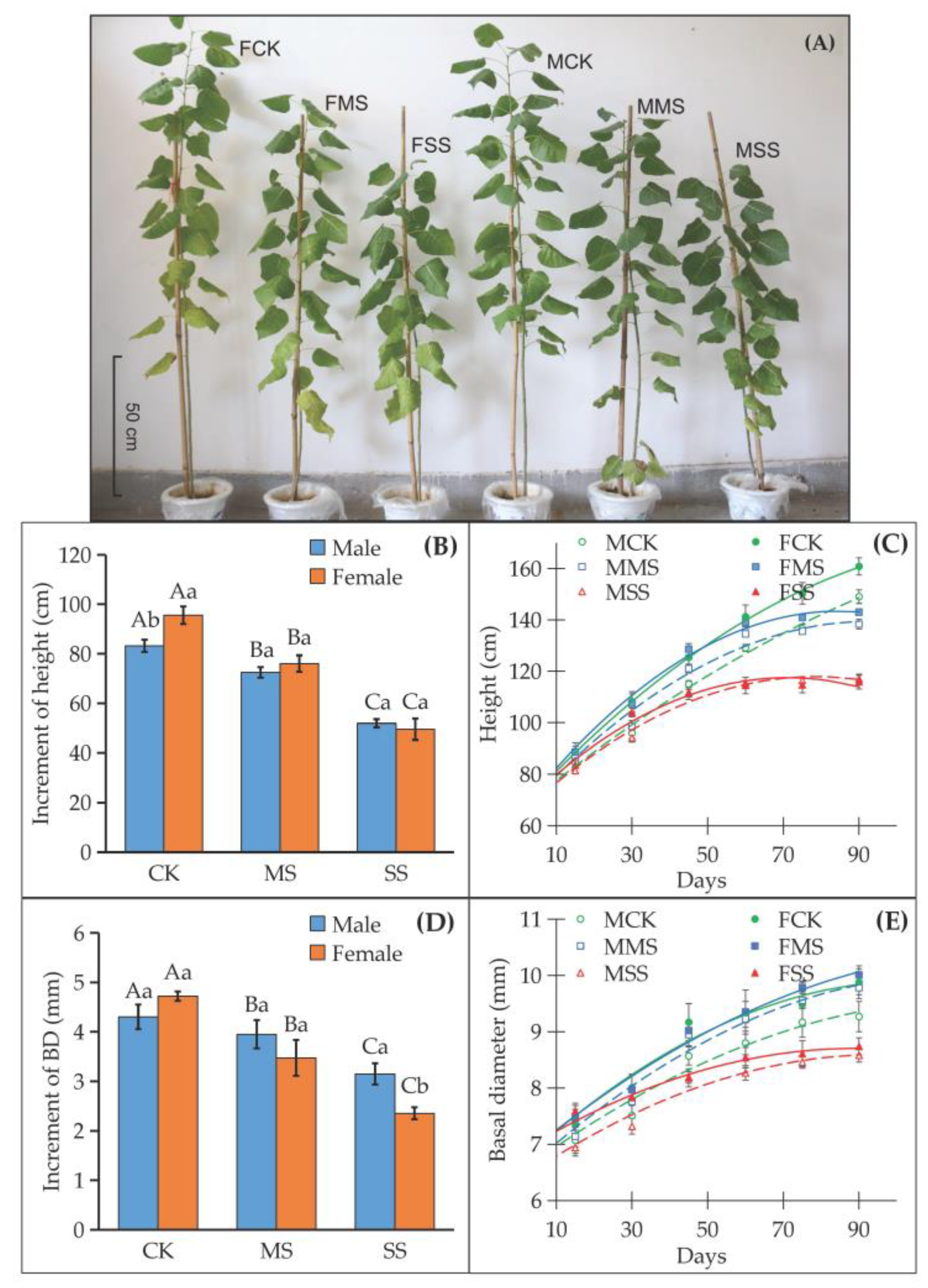 Forests 14 00995 g001 Forests 14 00995 g001
