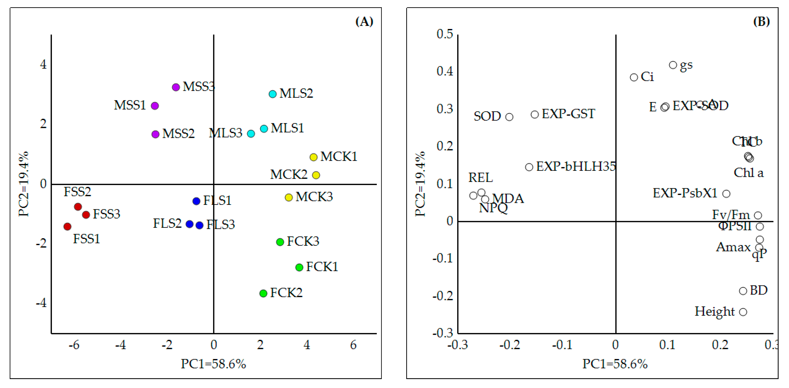 Forests 14 00995 g006 Forests 14 00995 g006