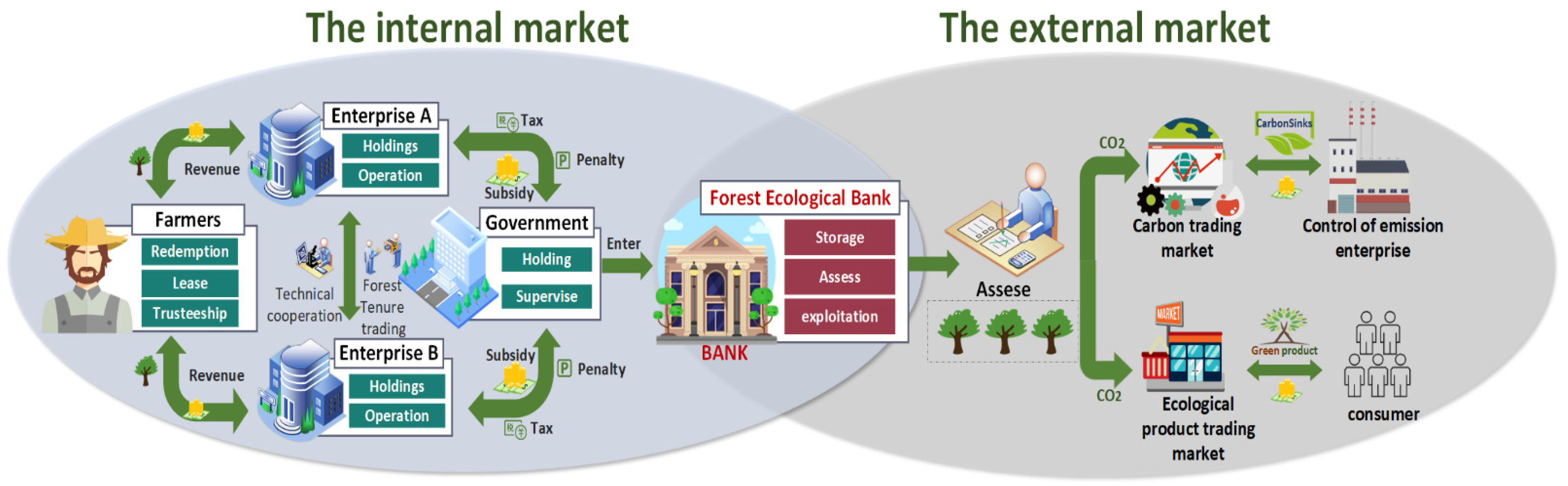 Forests 14 01002 g001 Forests 14 01002 g001