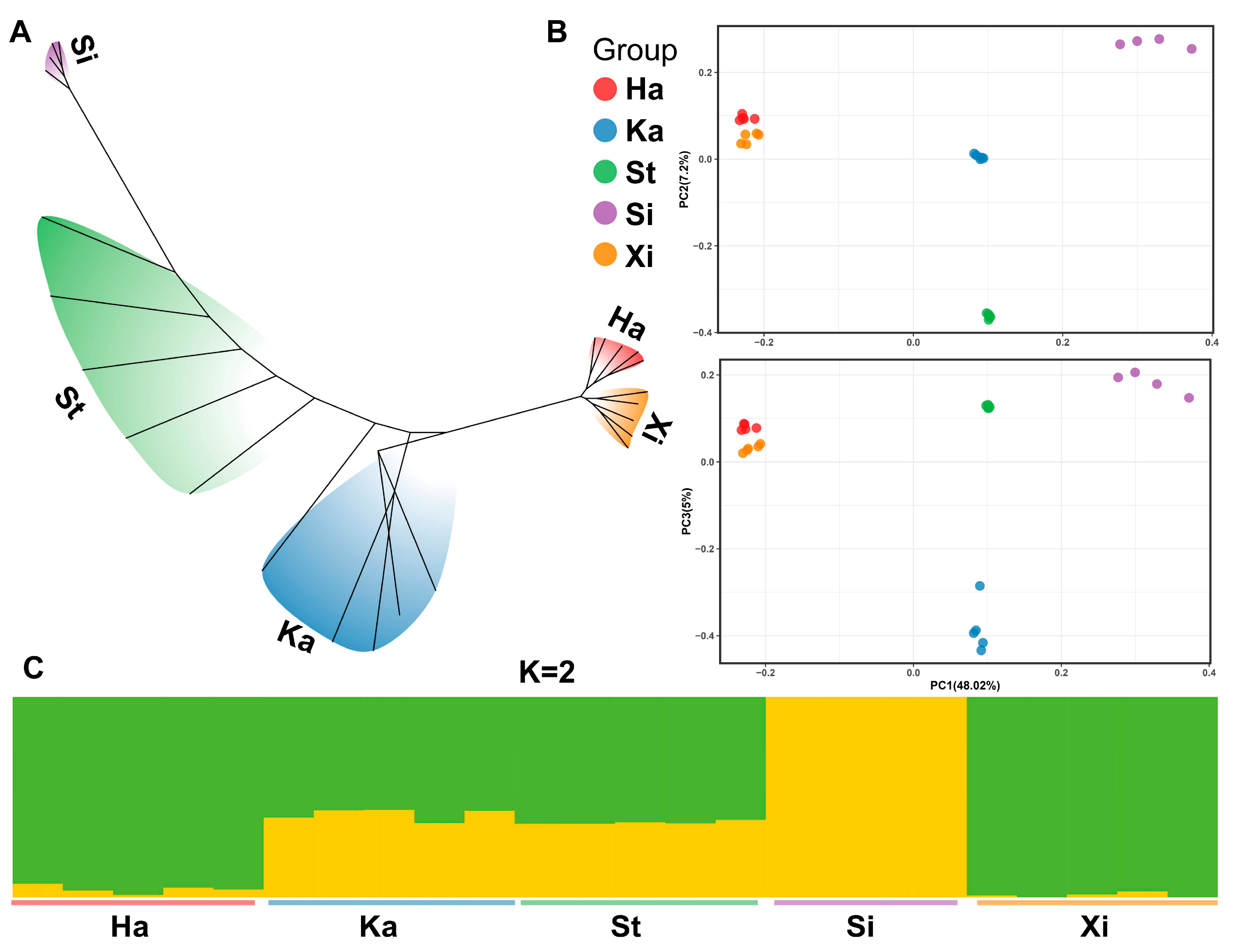 Forests 14 01003 g003 Forests 14 01003 g003