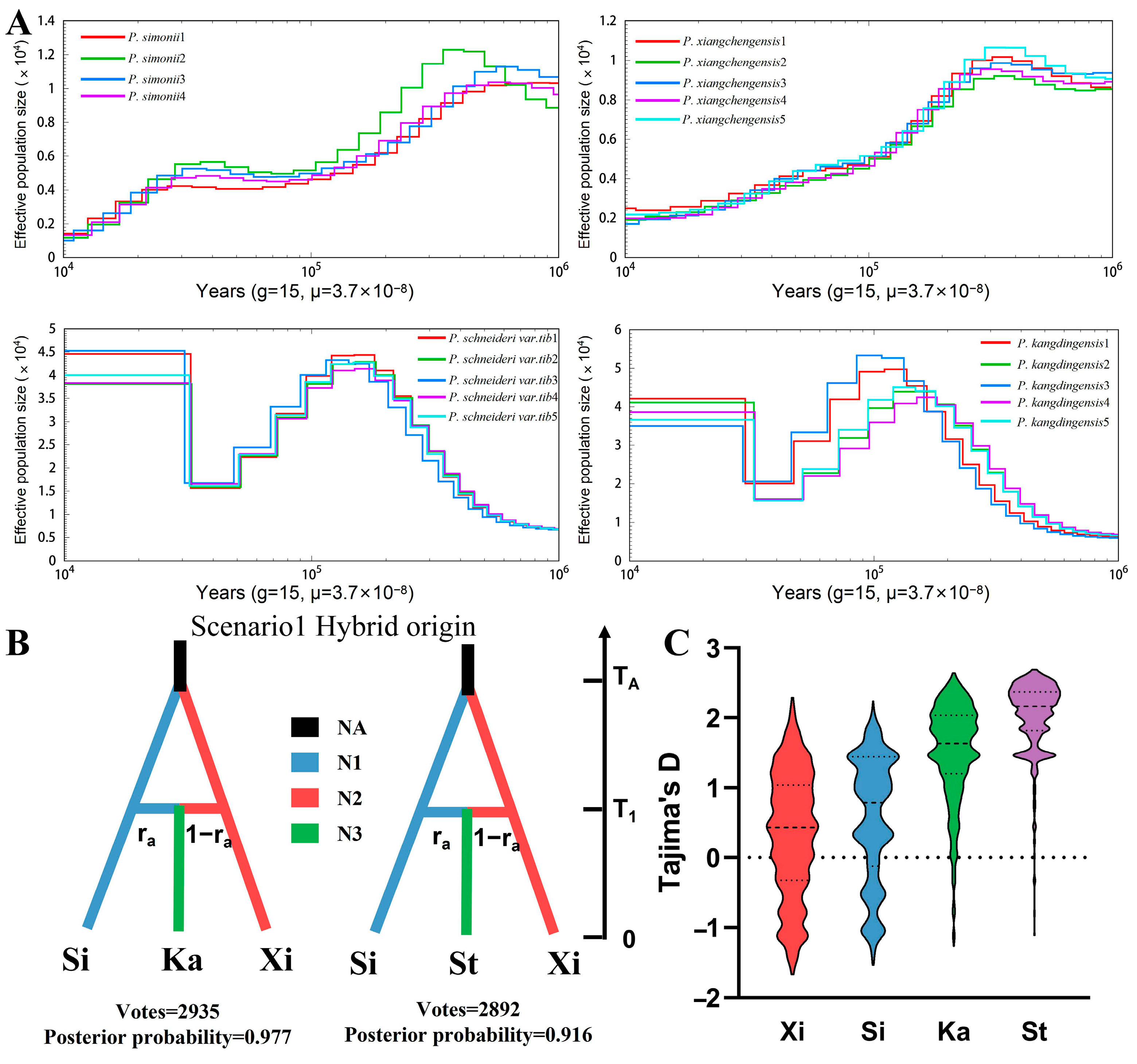 Forests 14 01003 g006 Forests 14 01003 g006