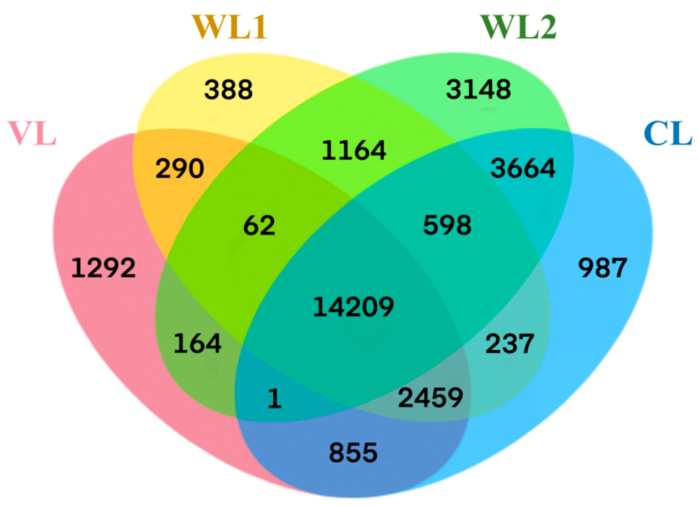 Forests 14 01004 g0a1