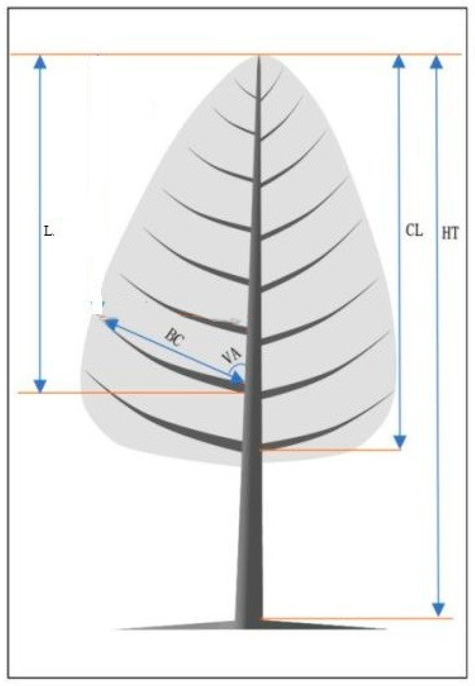 Forests 14 01005 g001