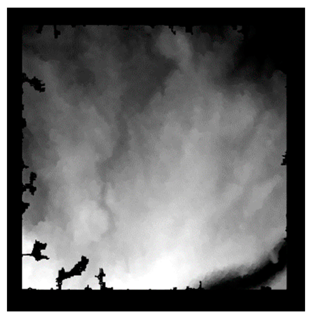 Forests 14 01009 g007