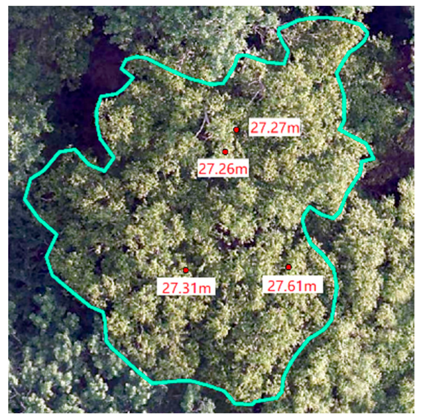 Forests 14 01009 g015