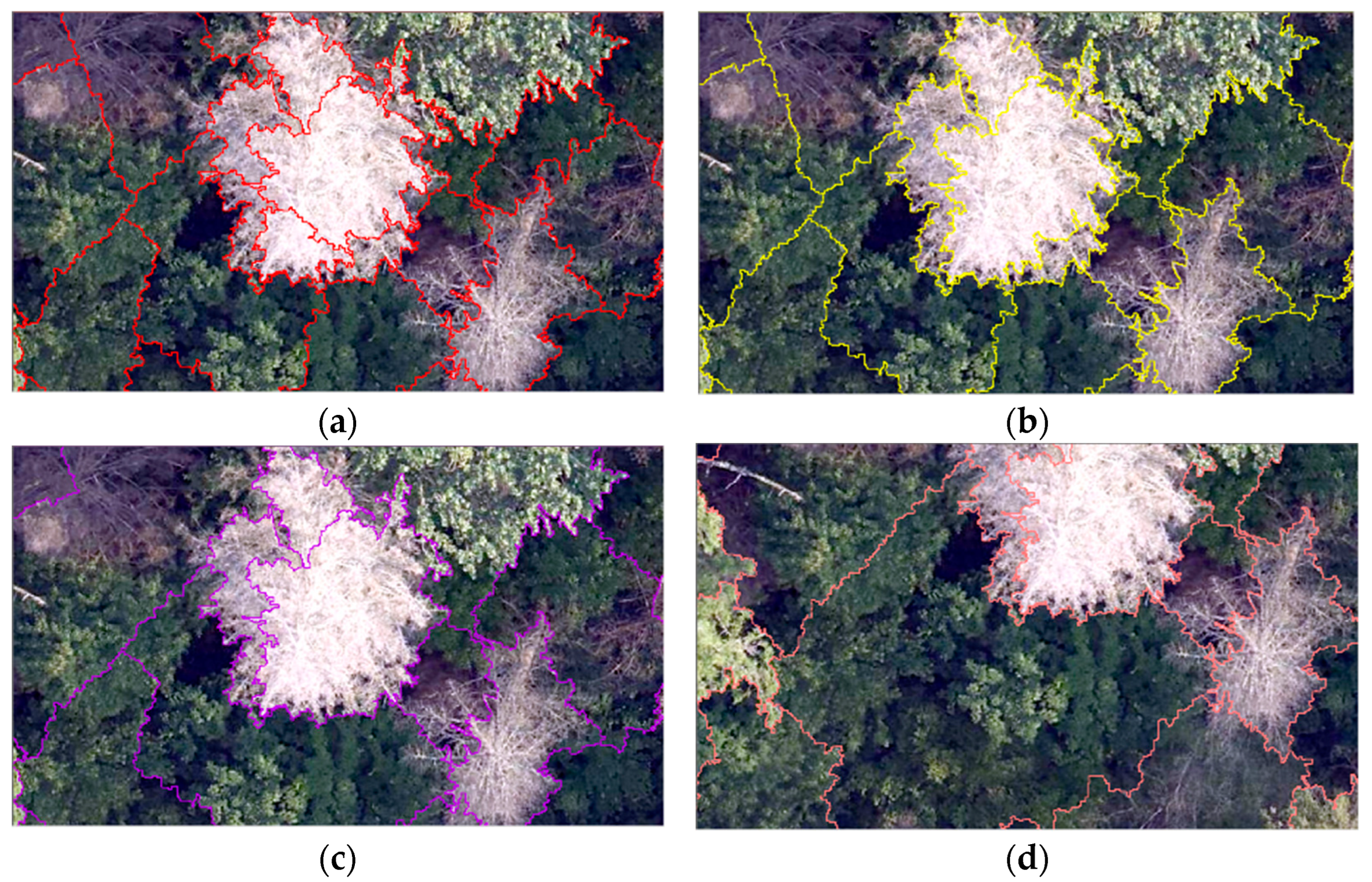 Forests 14 01009 g024