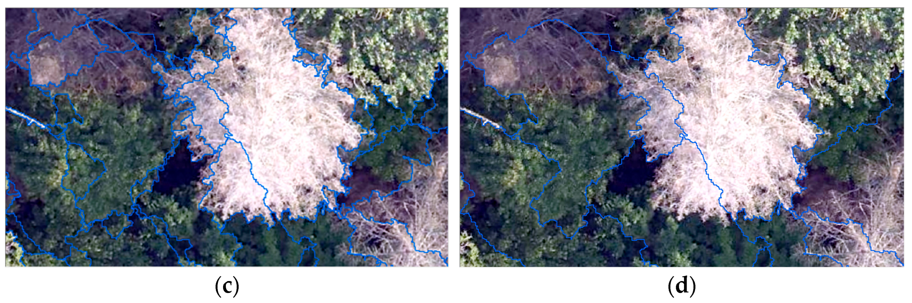 Forests 14 01009 g025b