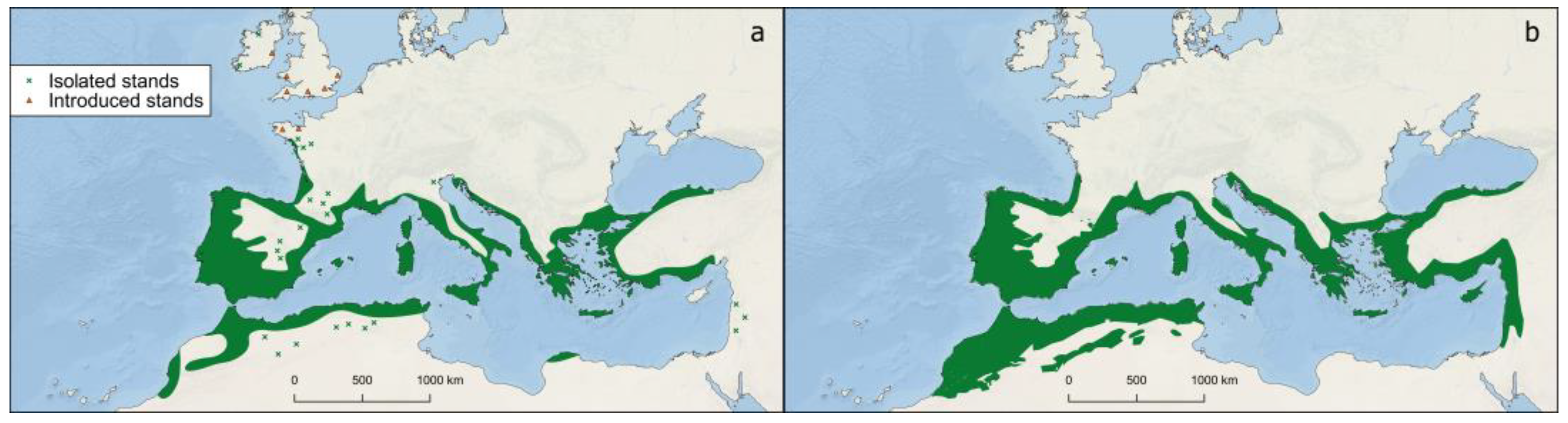 Forests 14 01010 g003