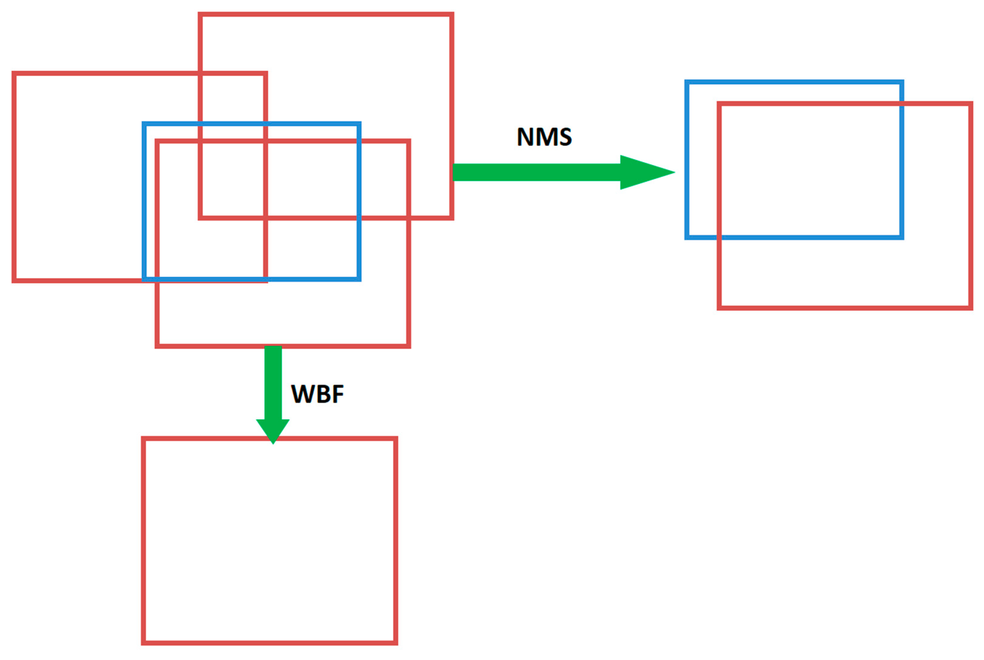 Forests 14 01012 g010