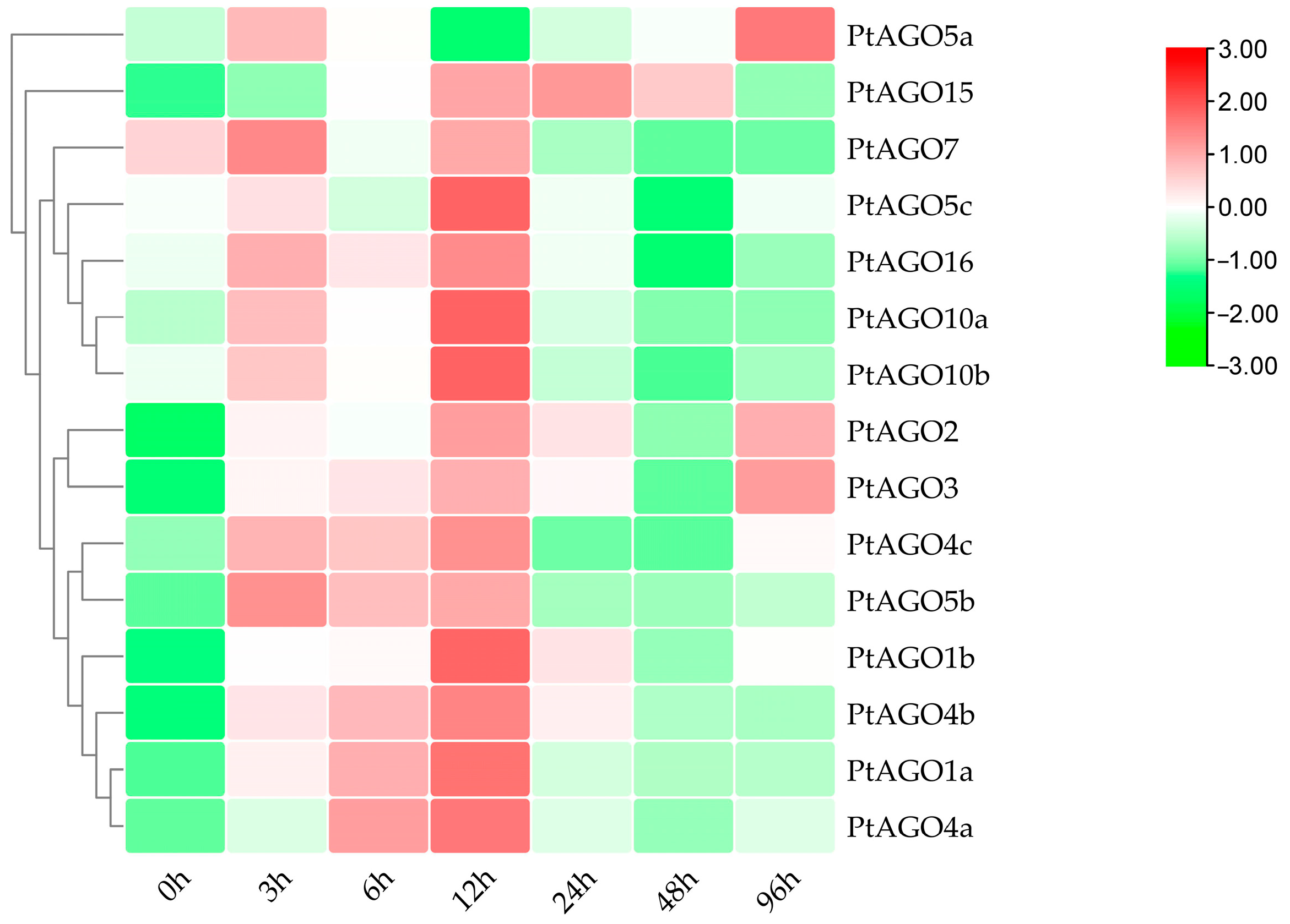 Forests 14 01015 g006