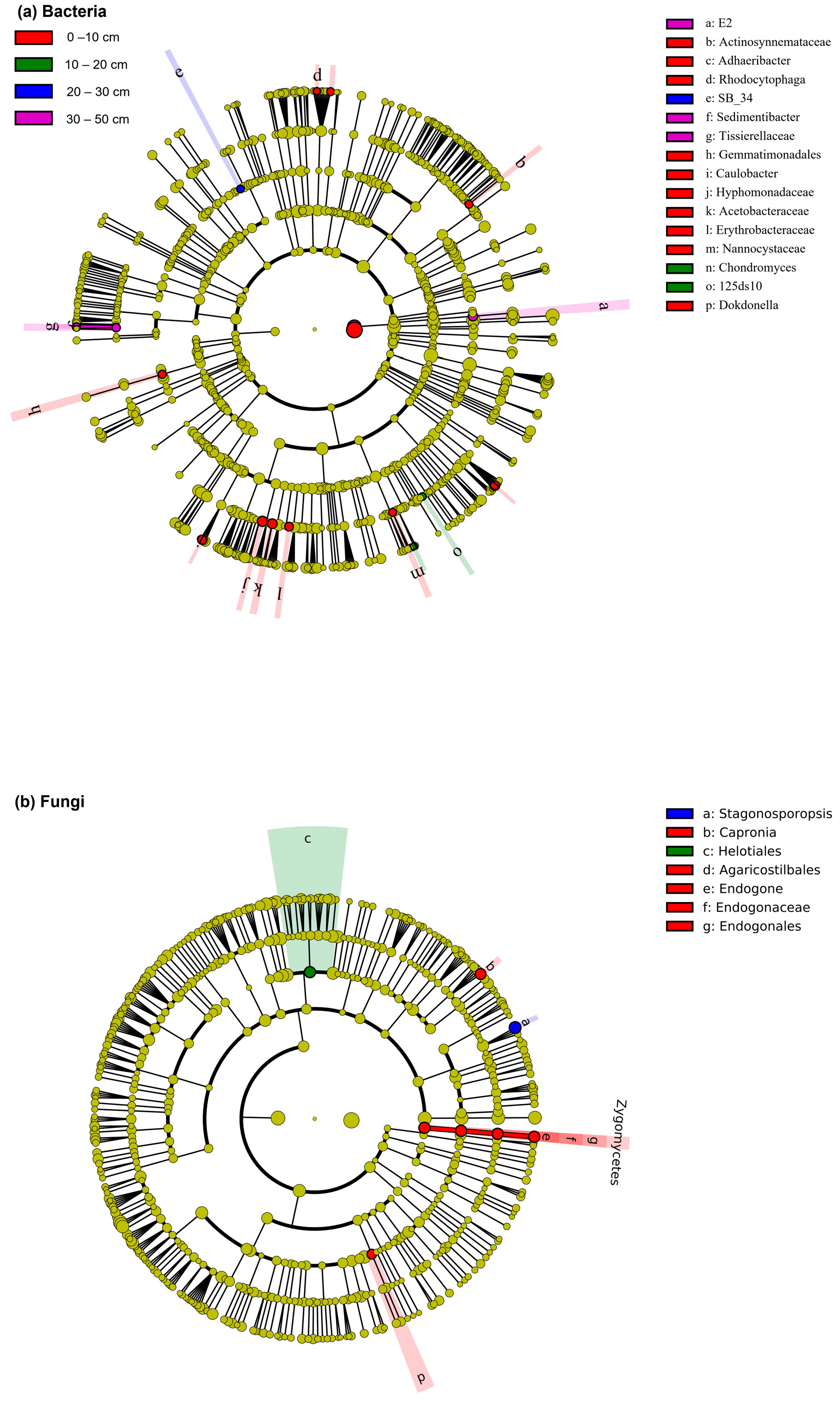 Forests 14 01016 g002 Forests 14 01016 g002