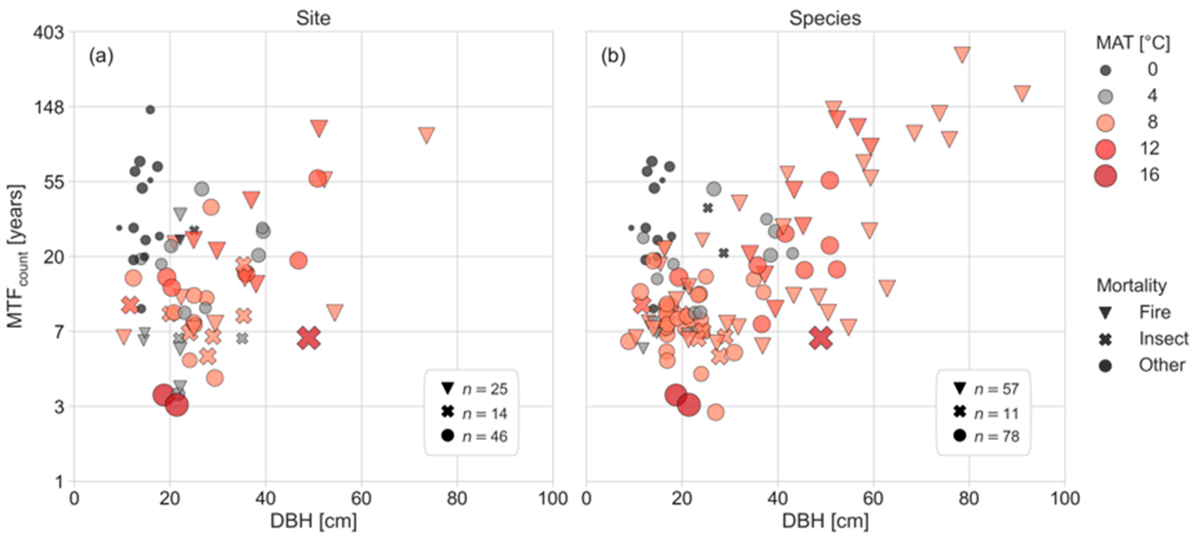 Forests 14 01017 g005 Forests 14 01017 g005