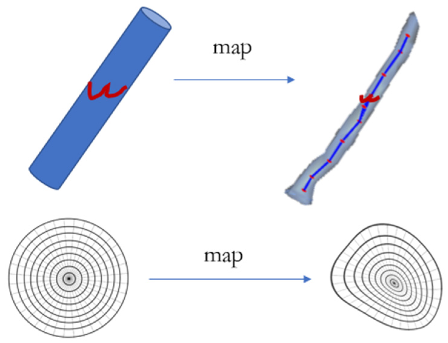 Forests 14 01020 g001