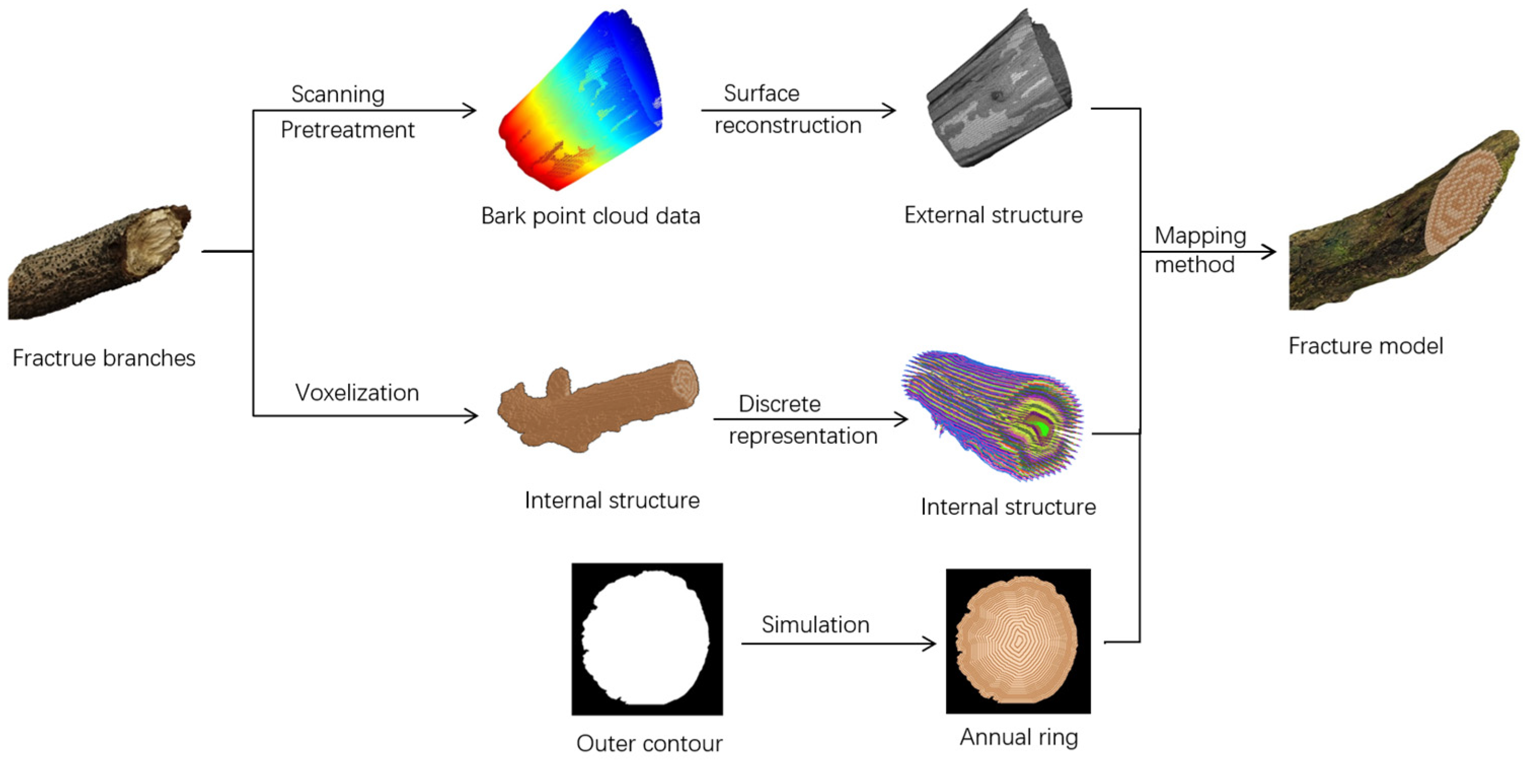 Forests 14 01020 g002