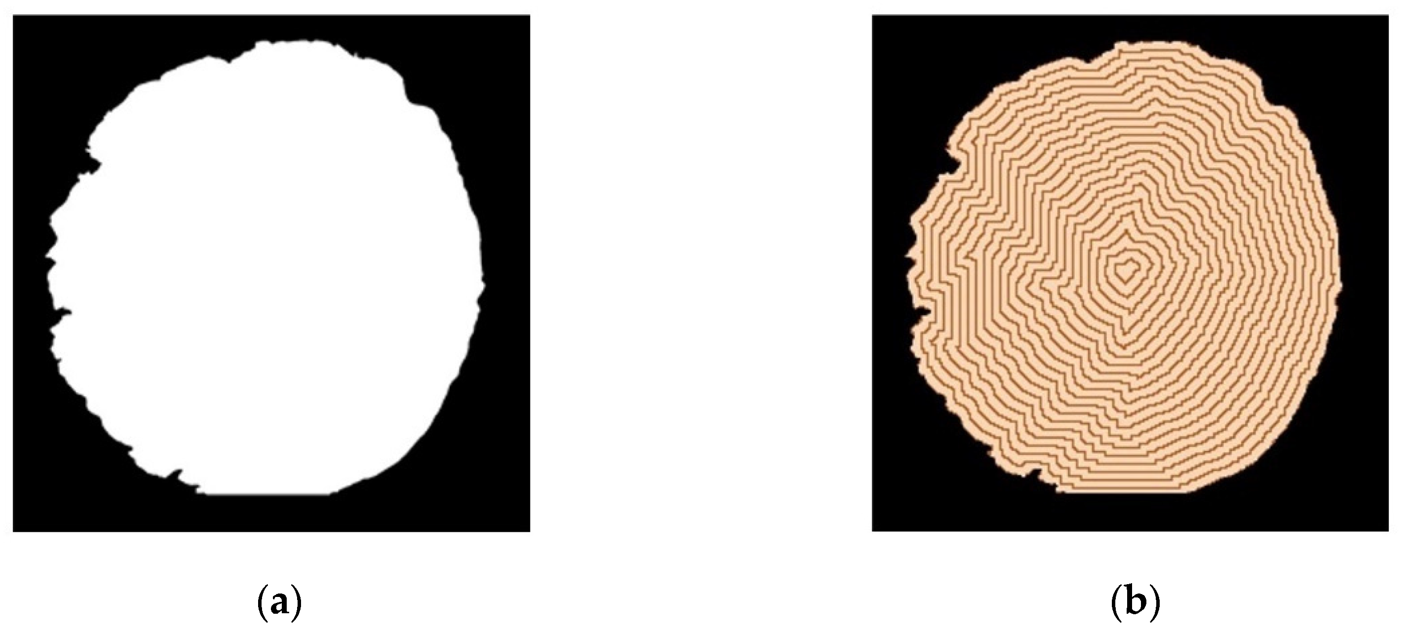 Forests 14 01020 g005