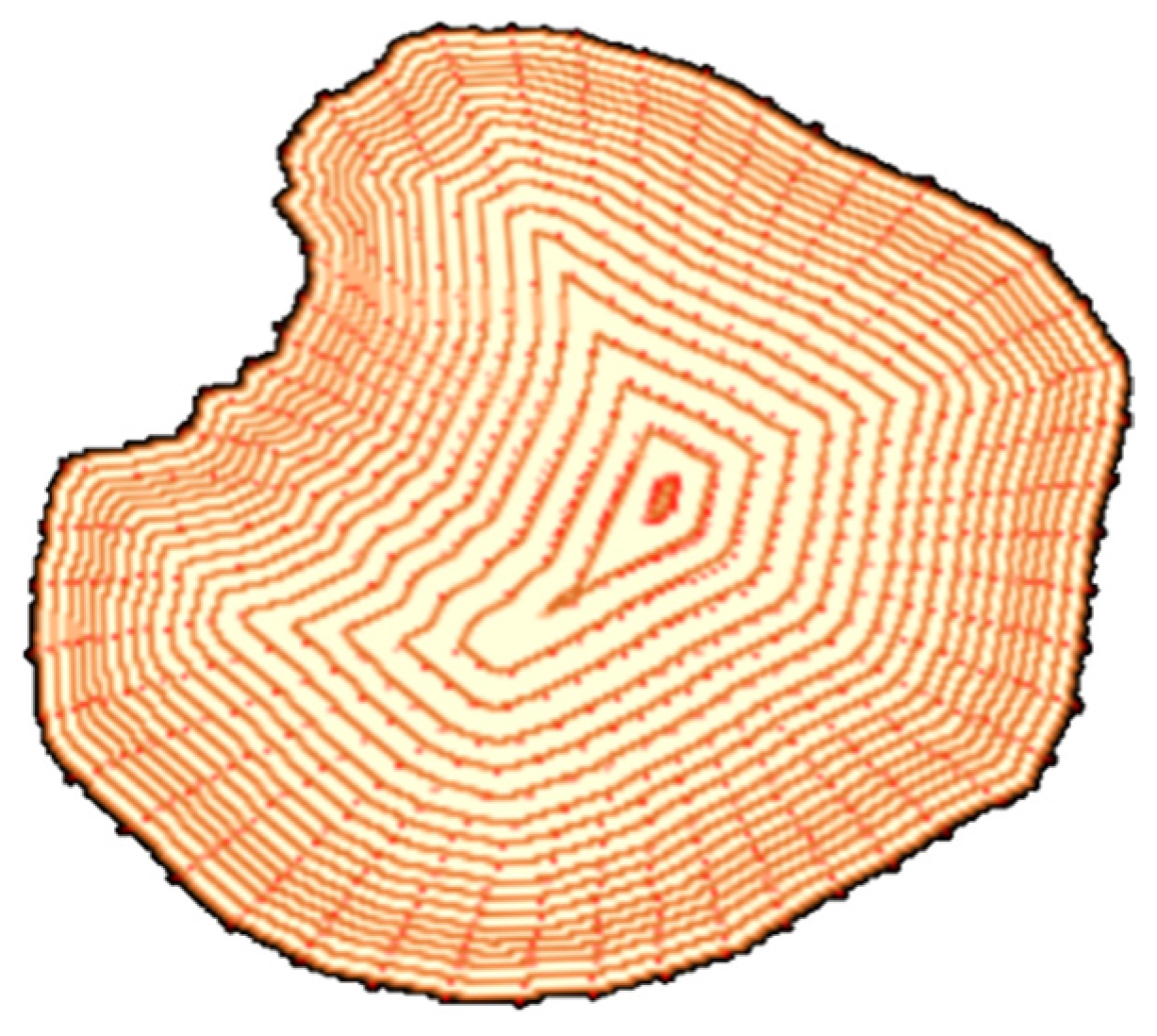 Forests 14 01020 g010