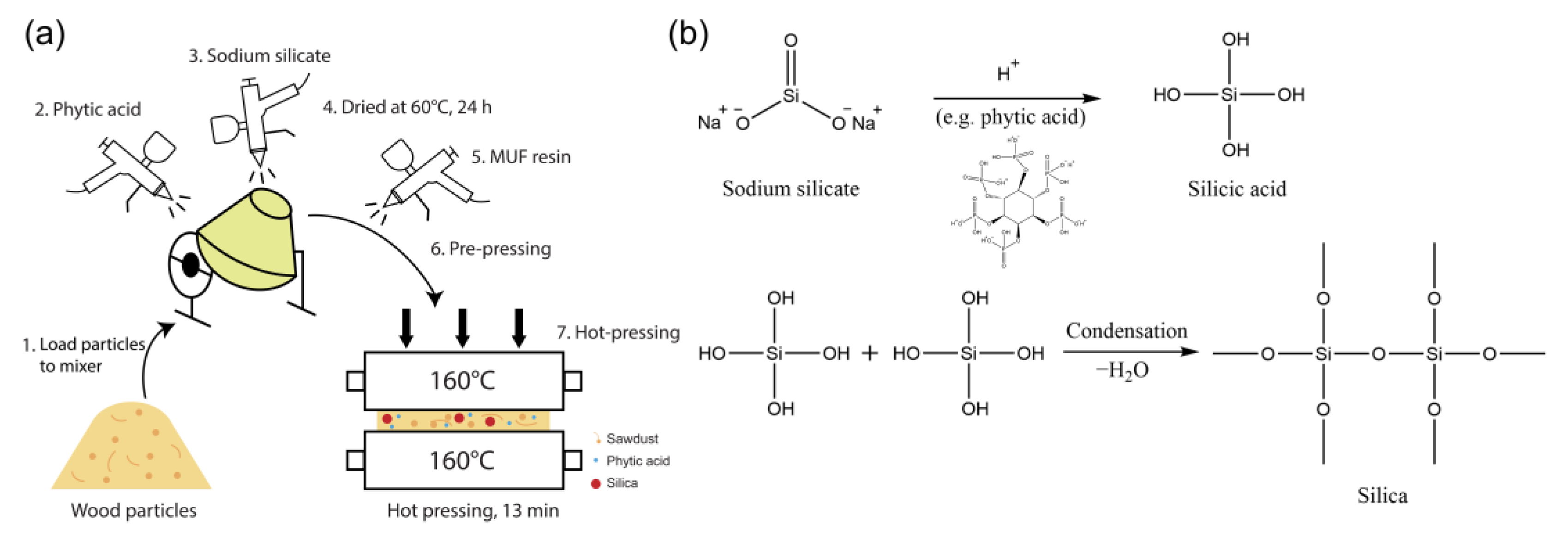 Forests 14 01021 g001