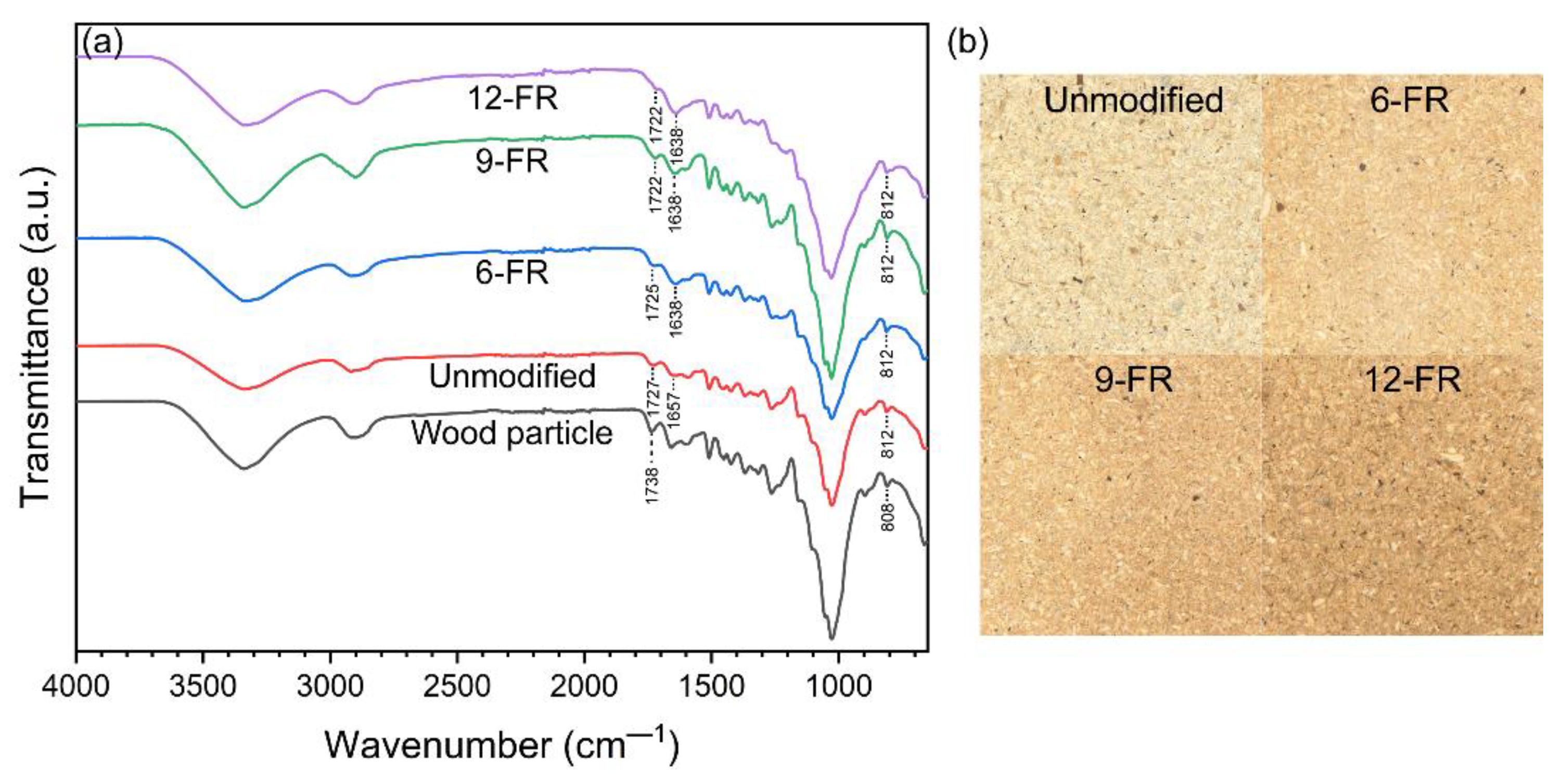 Forests 14 01021 g002