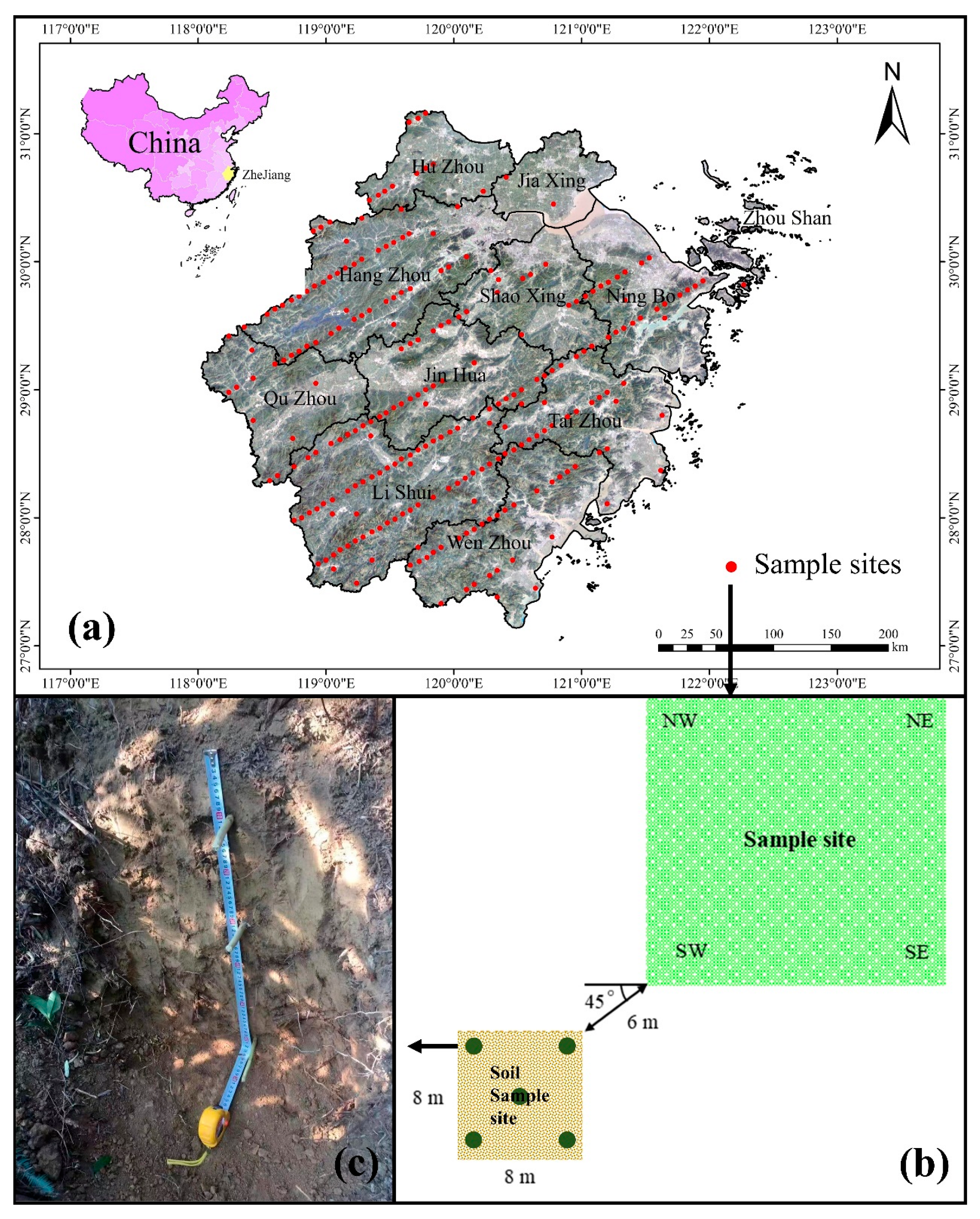 Forests 14 01023 g001