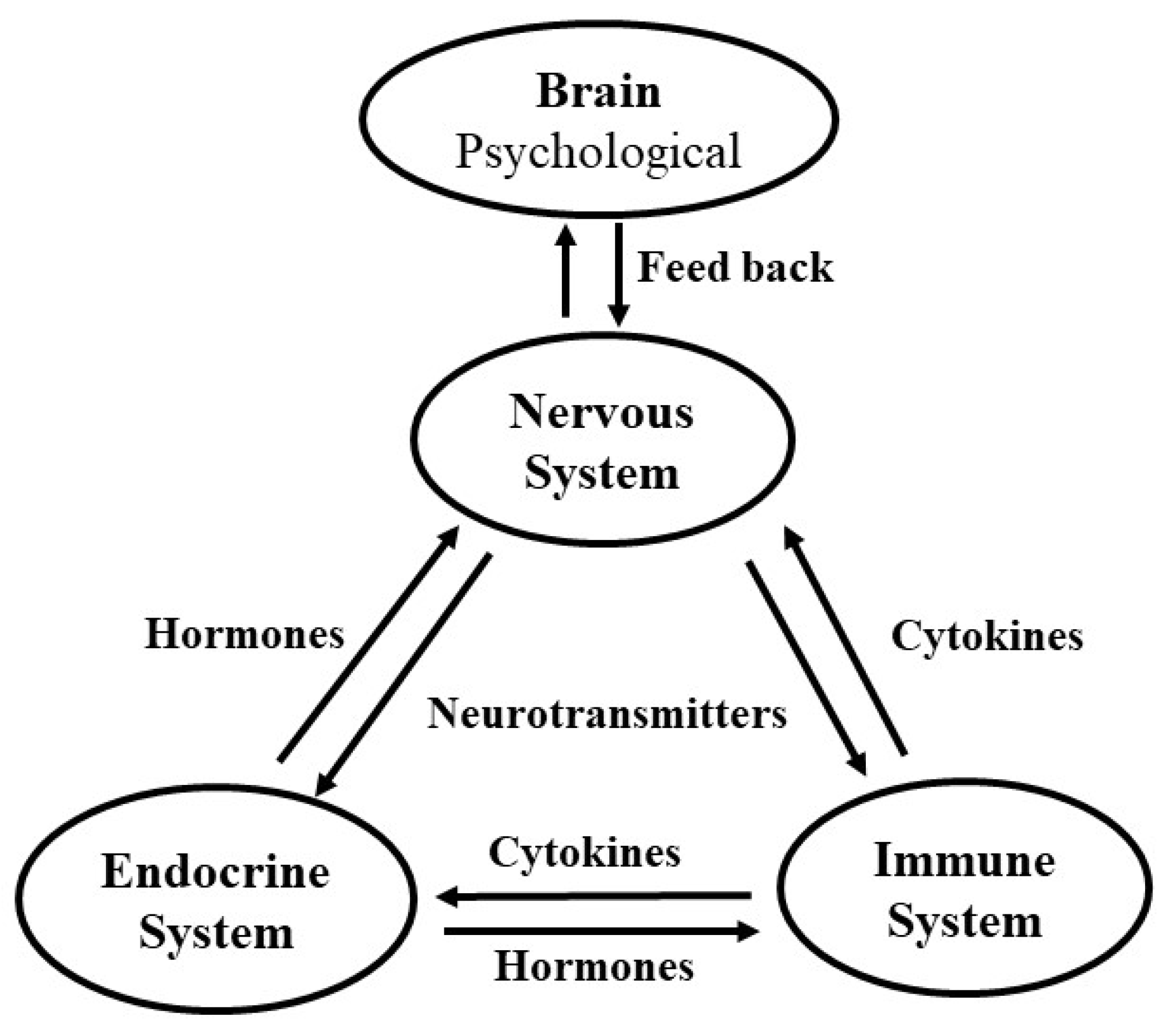 Forests 14 01024 g001