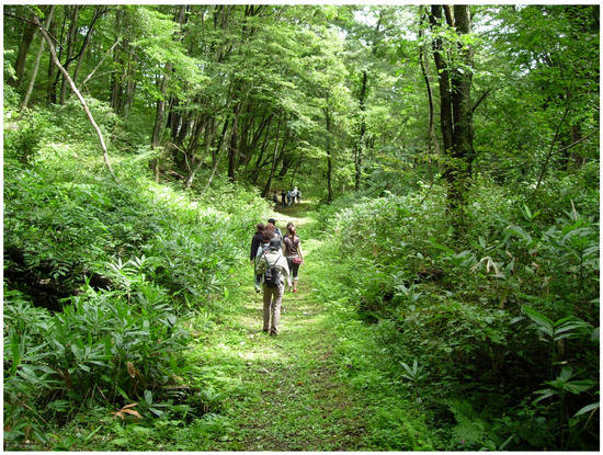 Lance Gaudet - Sugarcane Farmer - Woods Farms INC | LinkedIn