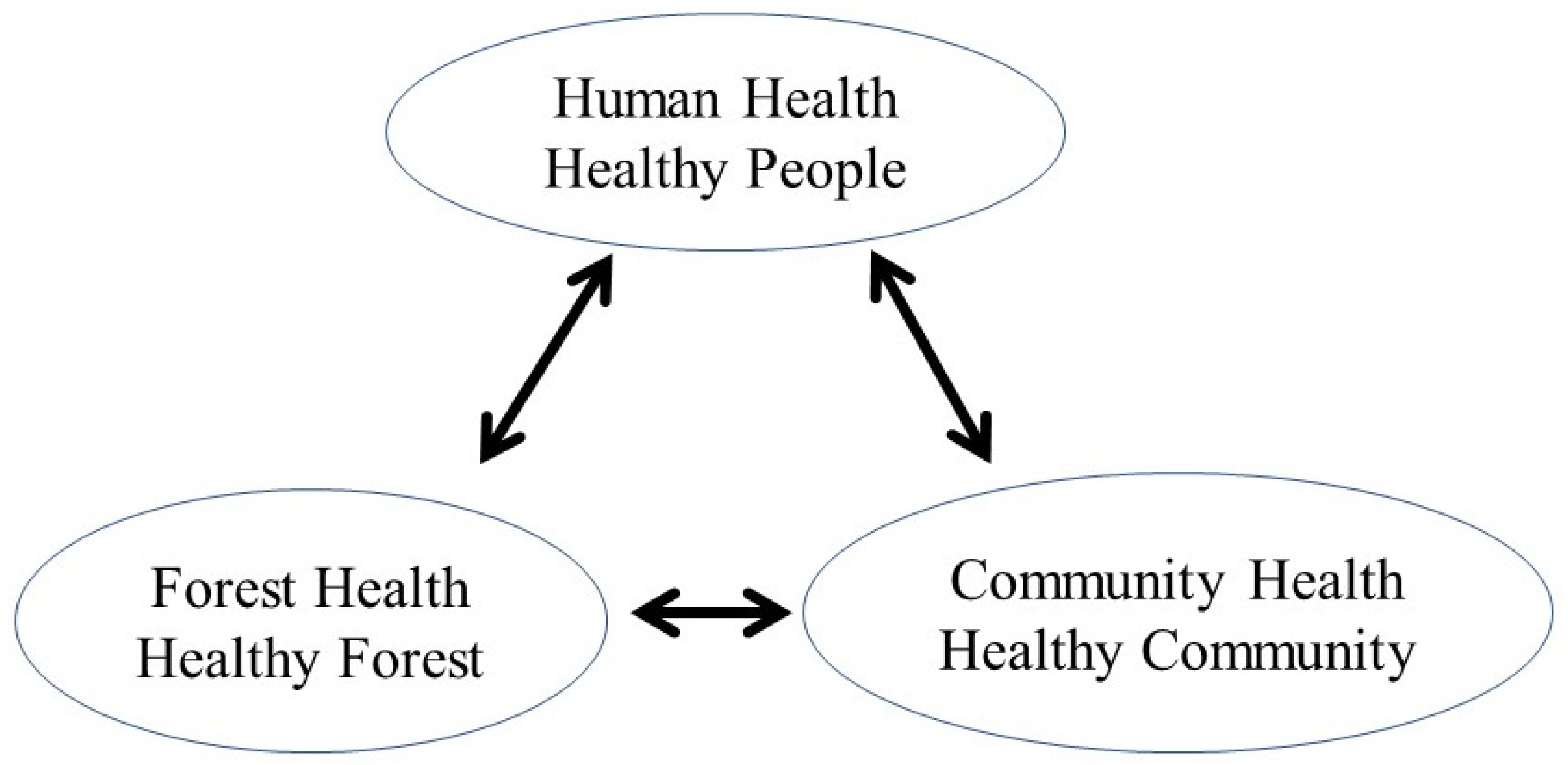 Forests 14 01024 g004