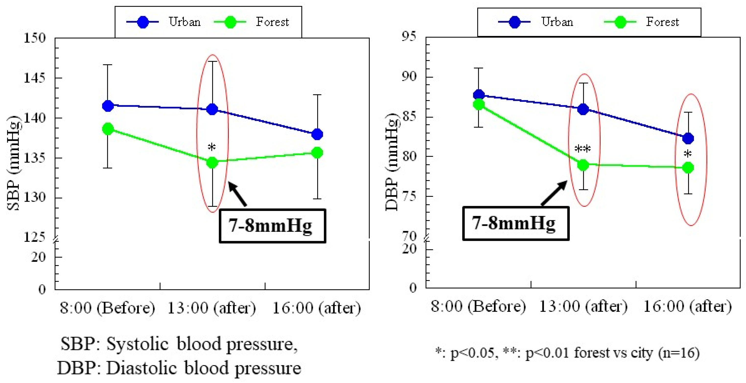 Forests 14 01024 g006