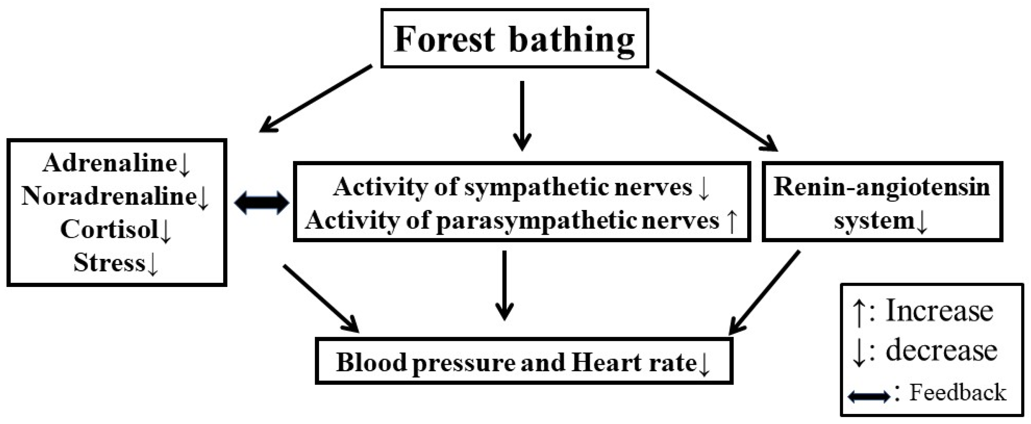 Forests 14 01024 g007