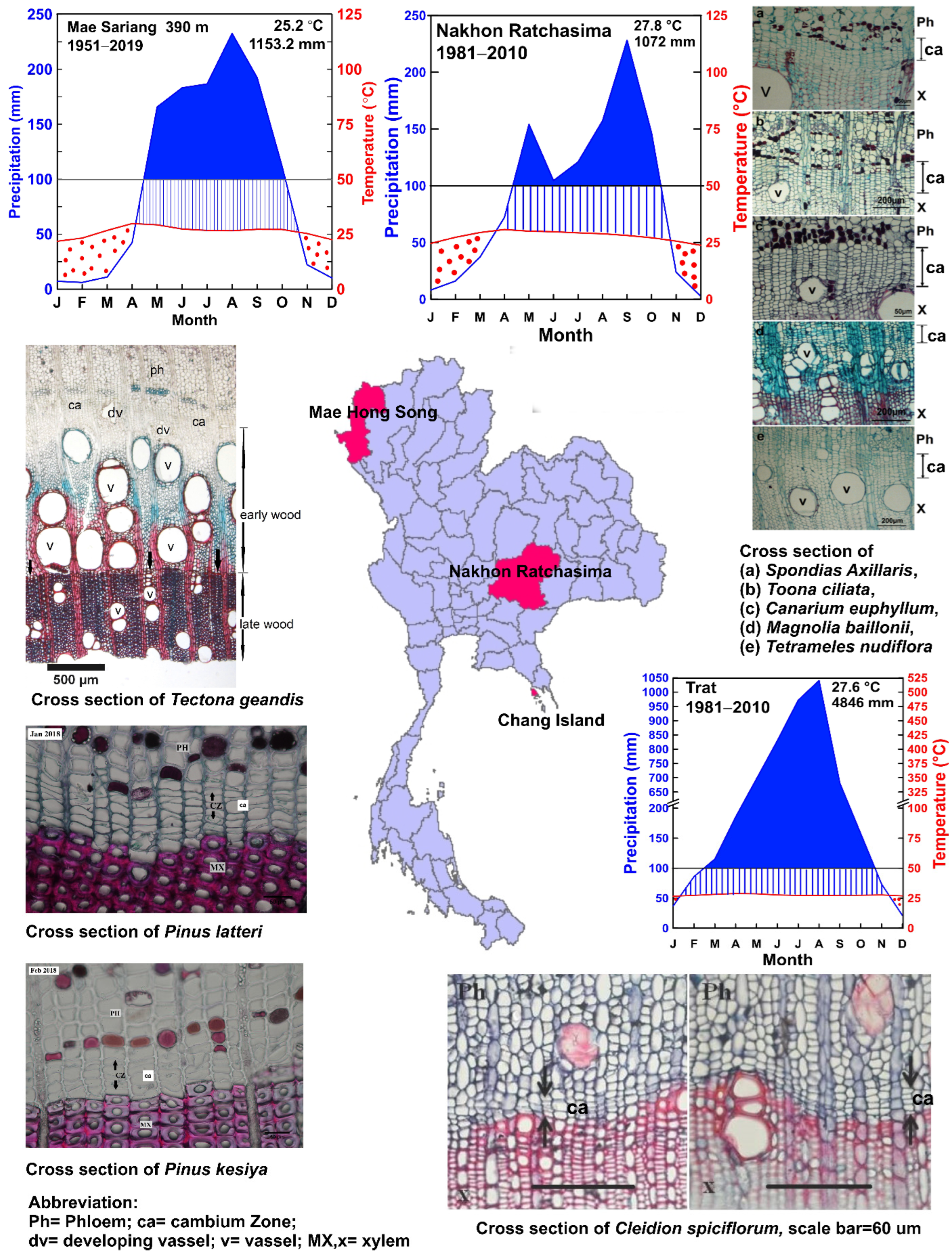 Forests 14 01025 g002 Forests 14 01025 g002