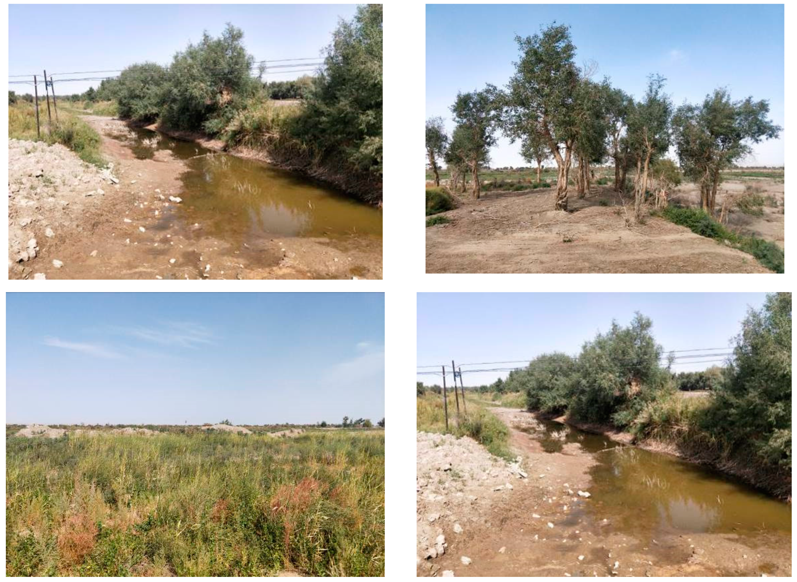 Forests 14 01028 g002 Forests 14 01028 g002