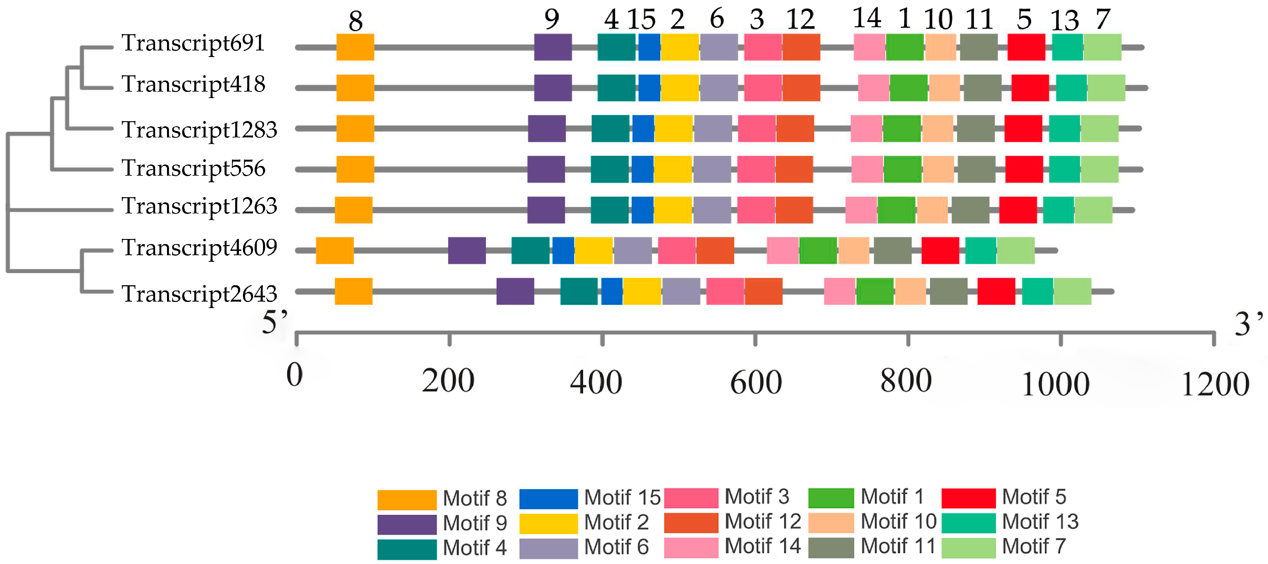 Forests 14 01035 g001 Forests 14 01035 g001