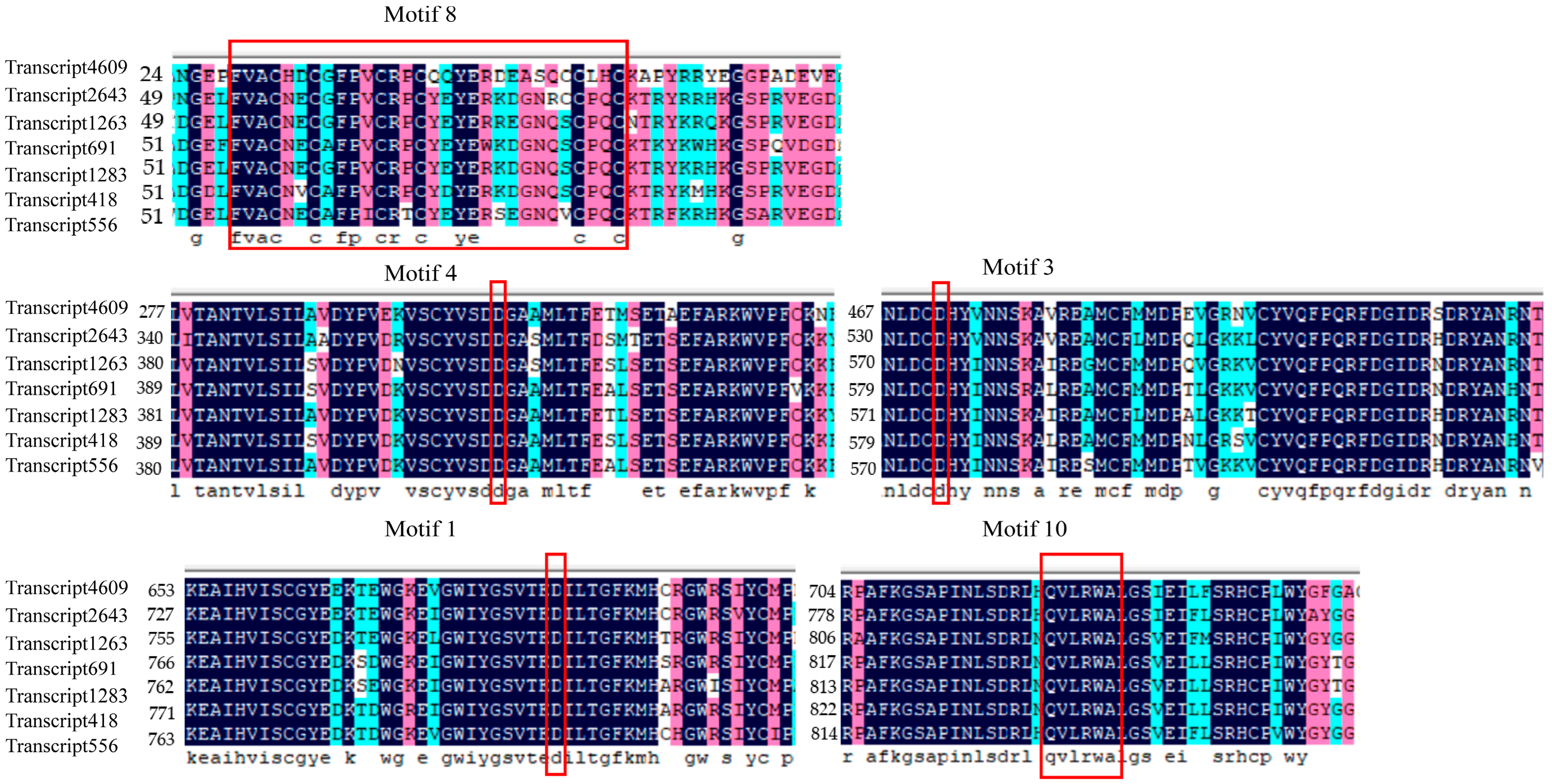 Forests 14 01035 g002 Forests 14 01035 g002