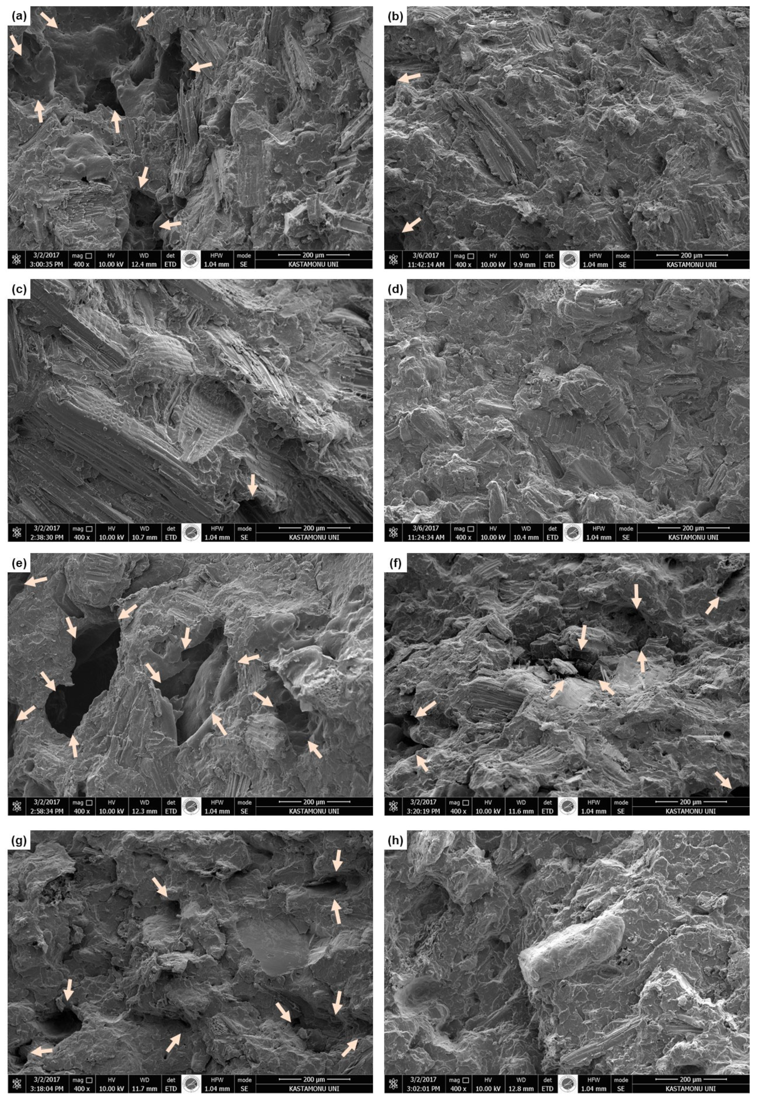 Forests 14 01036 g002