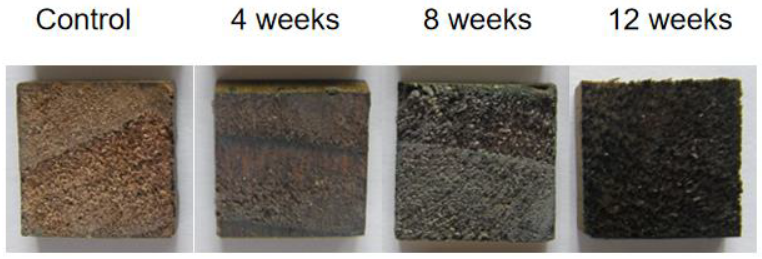 Forests 14 01040 g001 Forests 14 01040 g001