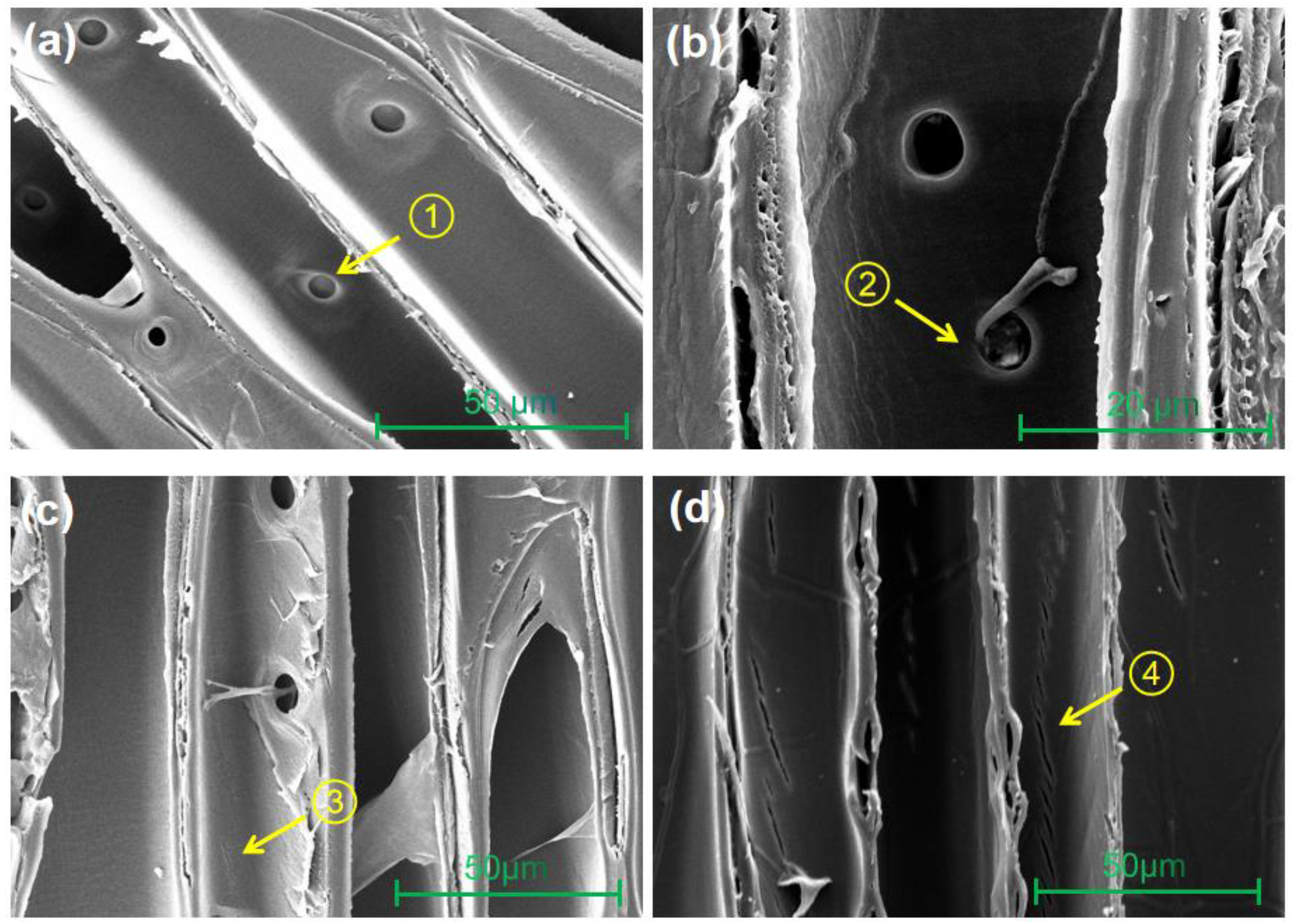 Forests 14 01040 g002 Forests 14 01040 g002